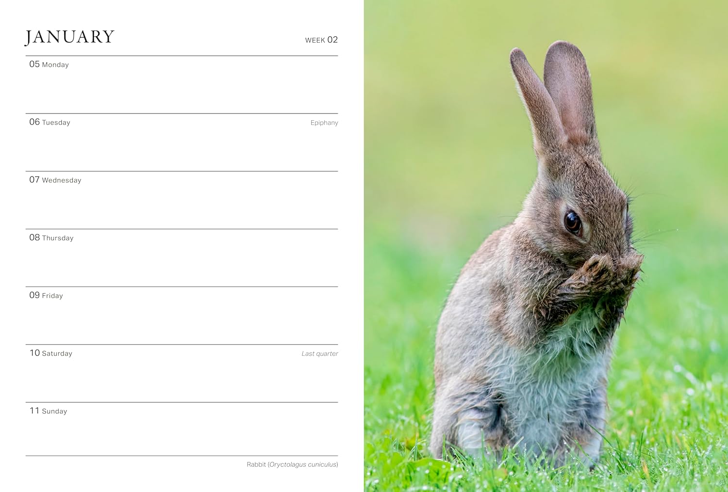 2026 RHS Wild In The Garden - Weekly Diary/Planner