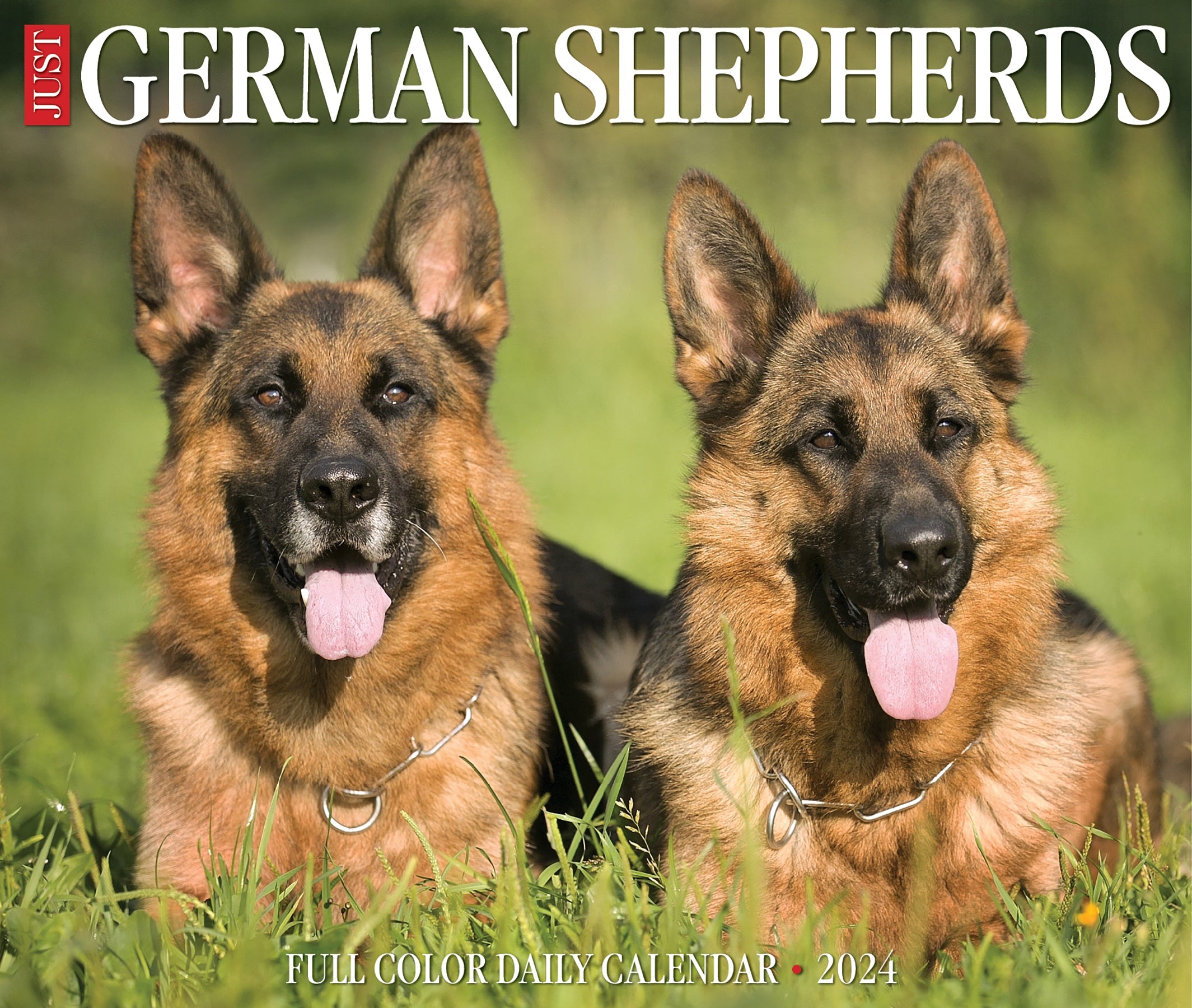 2024 German Shepherds - Daily Boxed Page-A-Day Calendar