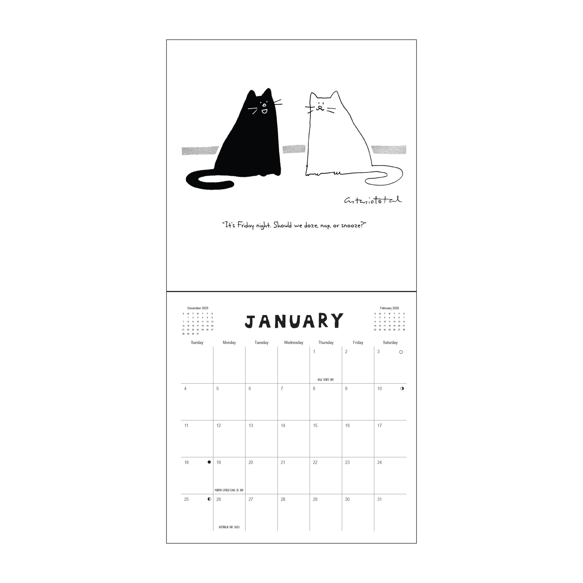 2026 Cats - Square Wall Calendar