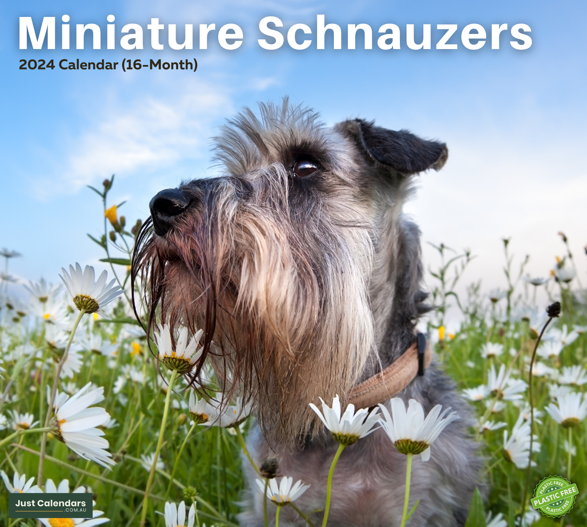 2024 Miniature Schnauzers Dogs & Puppies - Deluxe Wall Calendar by Just Calendars - 16 Month - Plastic Free