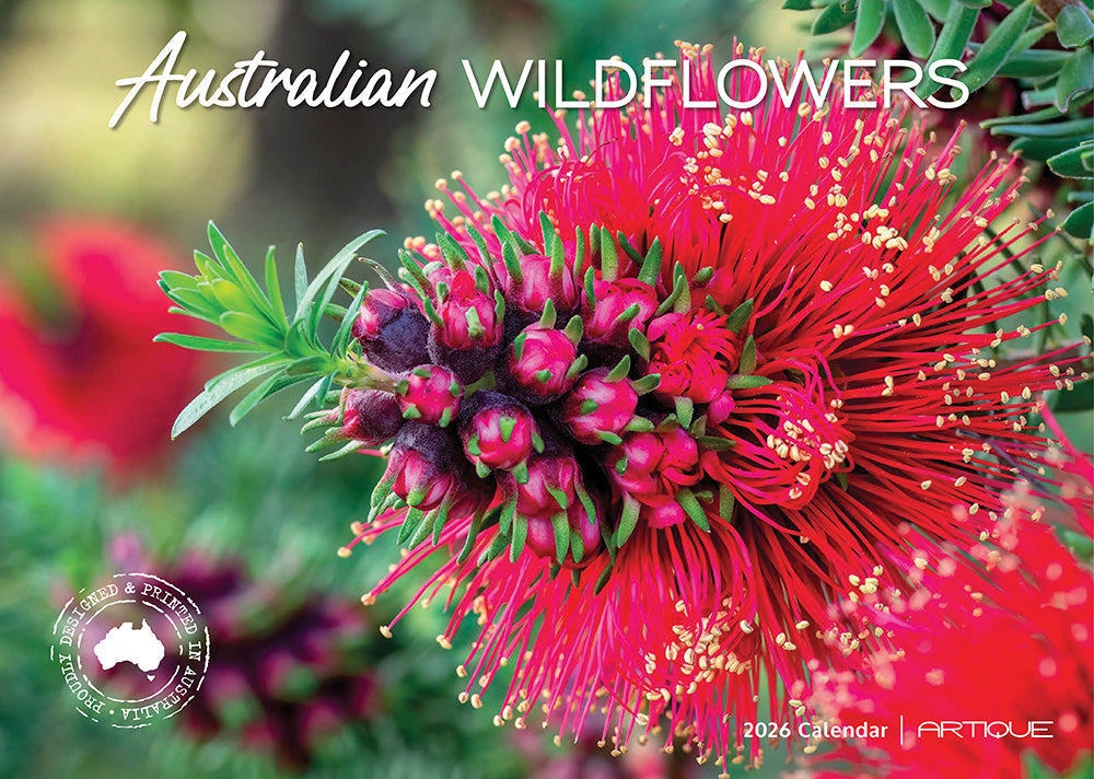 2026 Australian Wildflowers - Horizontal Wall Calendar