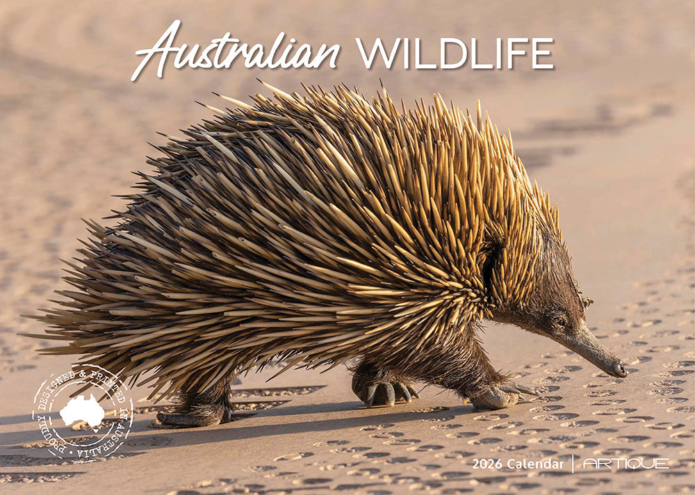 2026 Australian Wildlife - Horizontal Wall Calendar