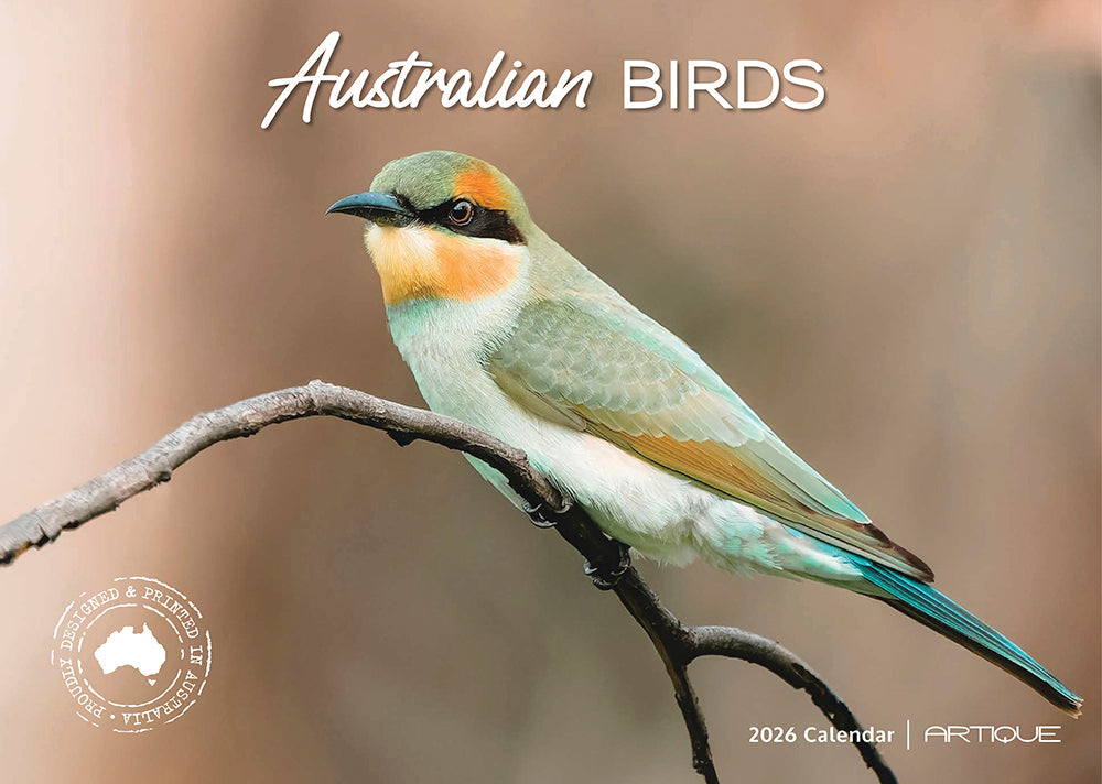 2026 Australian Birds - Horizontal Wall Calendar