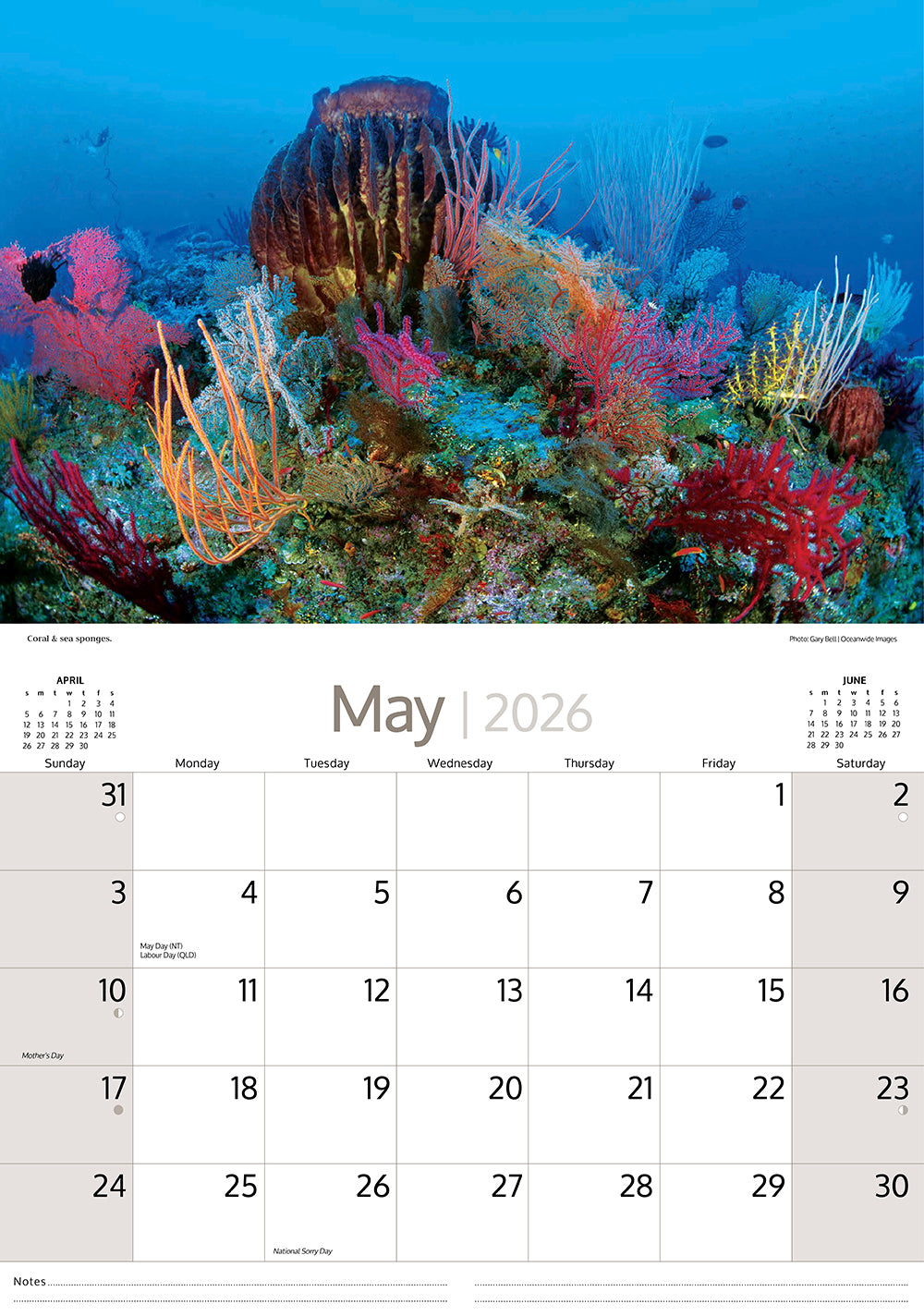 2026 Australian Marine Life - Horizontal Wall Calendar