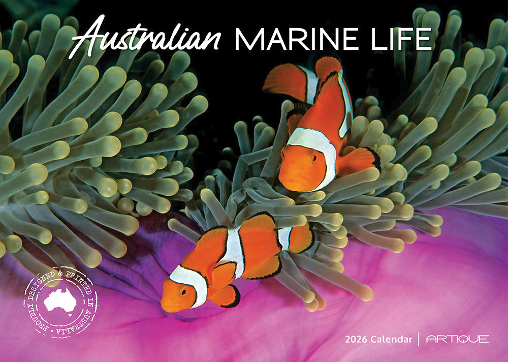 2026 Australian Marine Life - Horizontal Wall Calendar