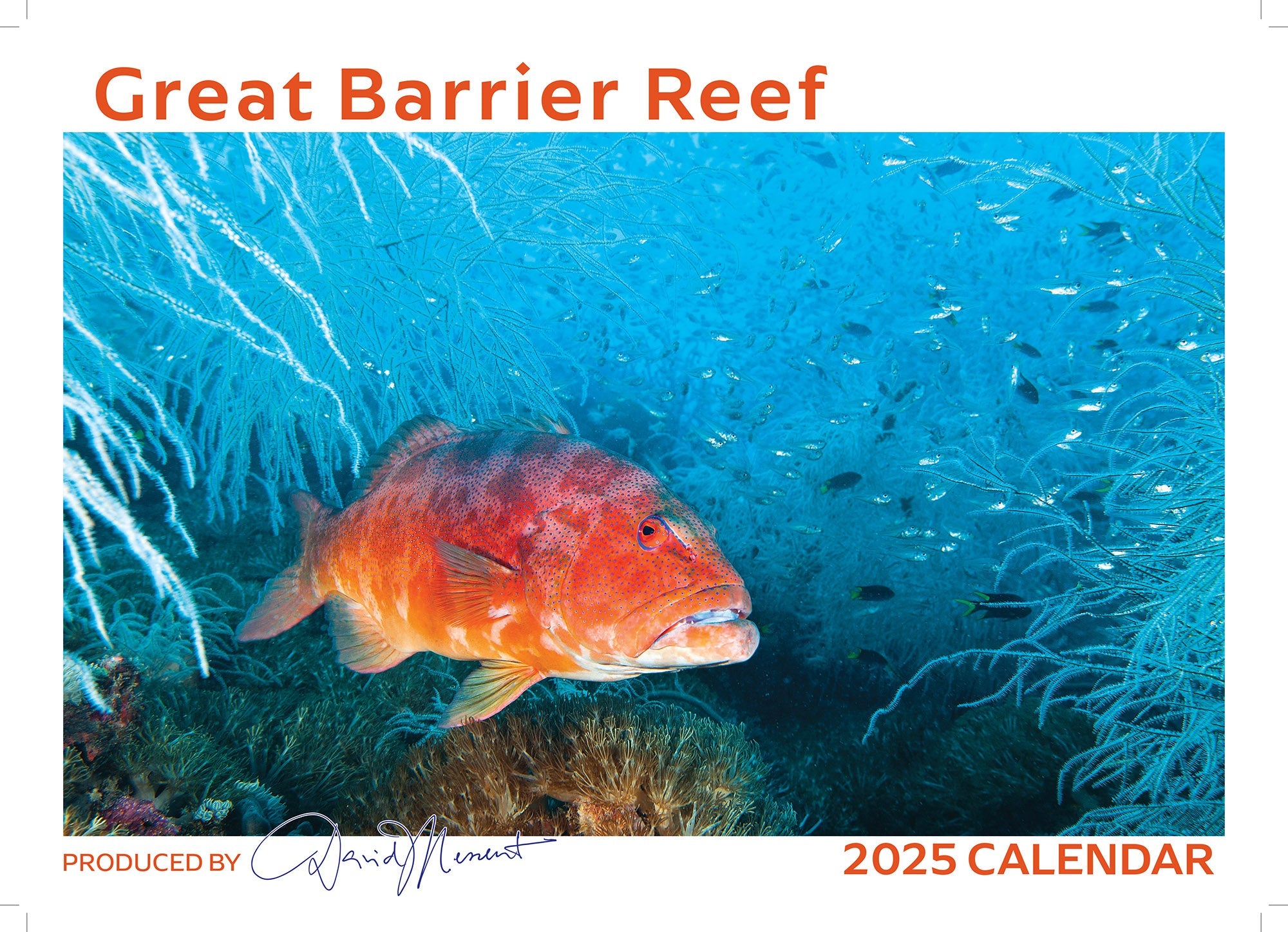 2025 Great Barrier Reef By David Messent Horizontal Wall Calendar