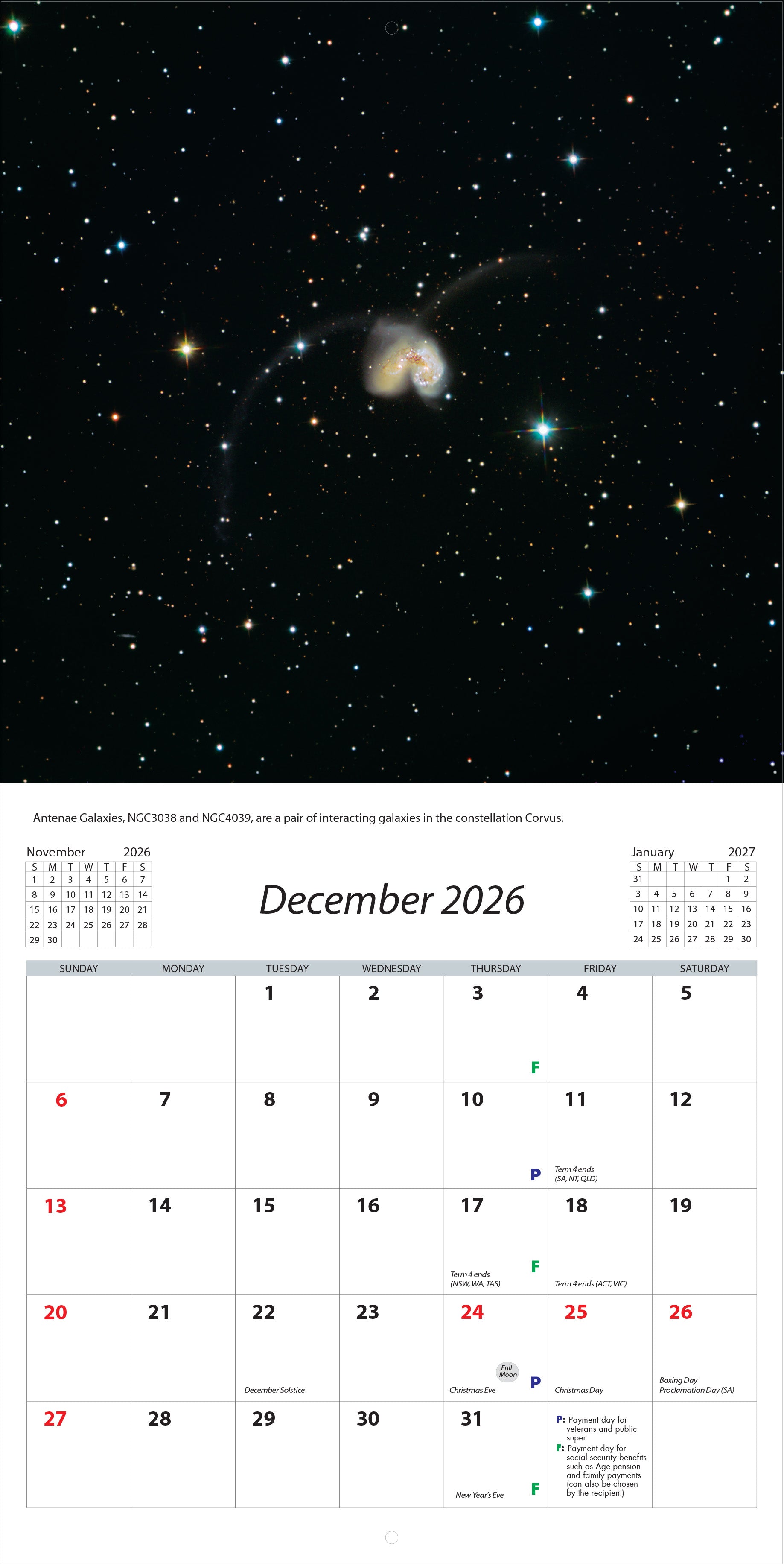 2026 Under The Southern Skies - Square Wall Calendar