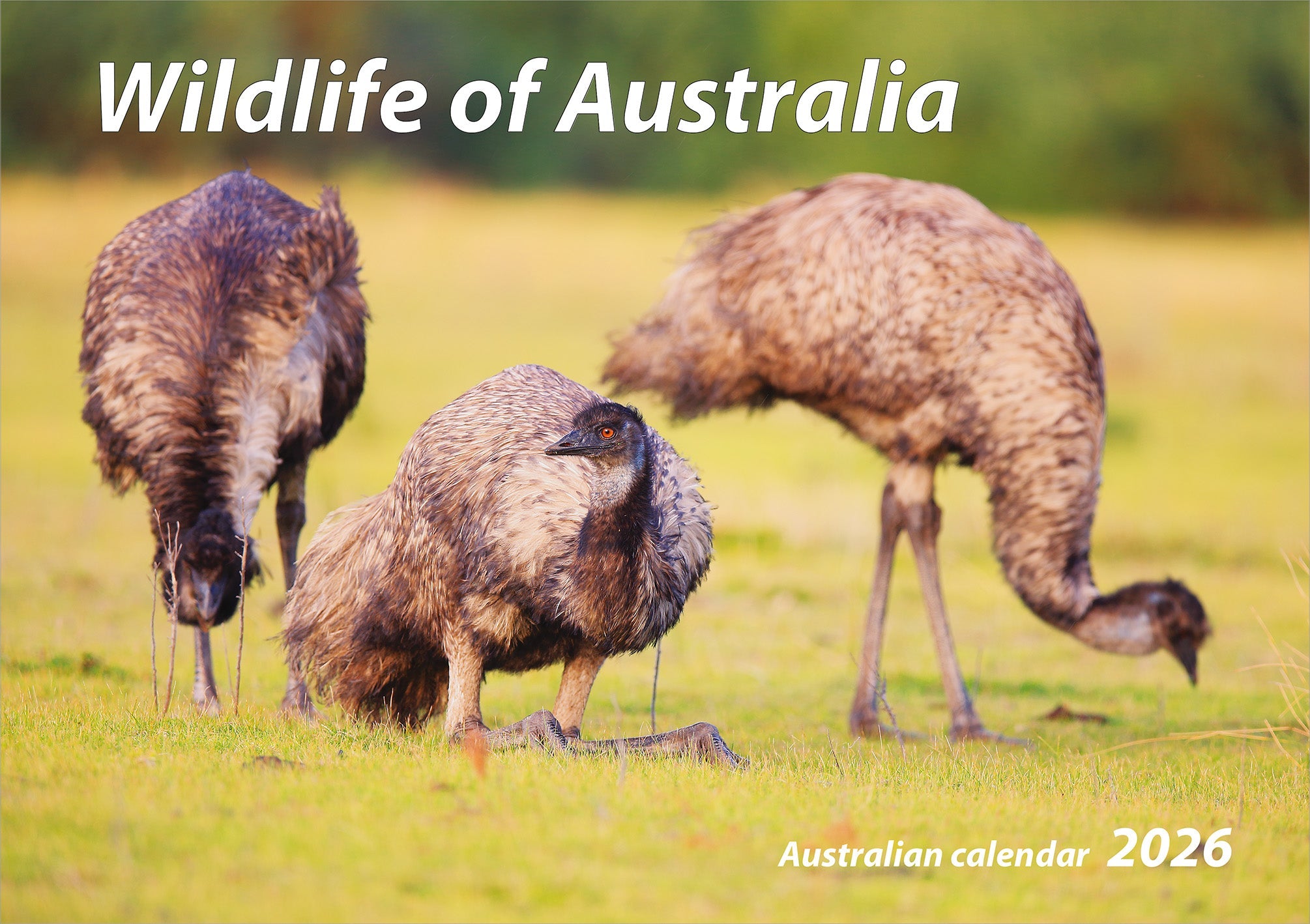 2026 Wildlife Of Australia - Horizontal Wall Calendar