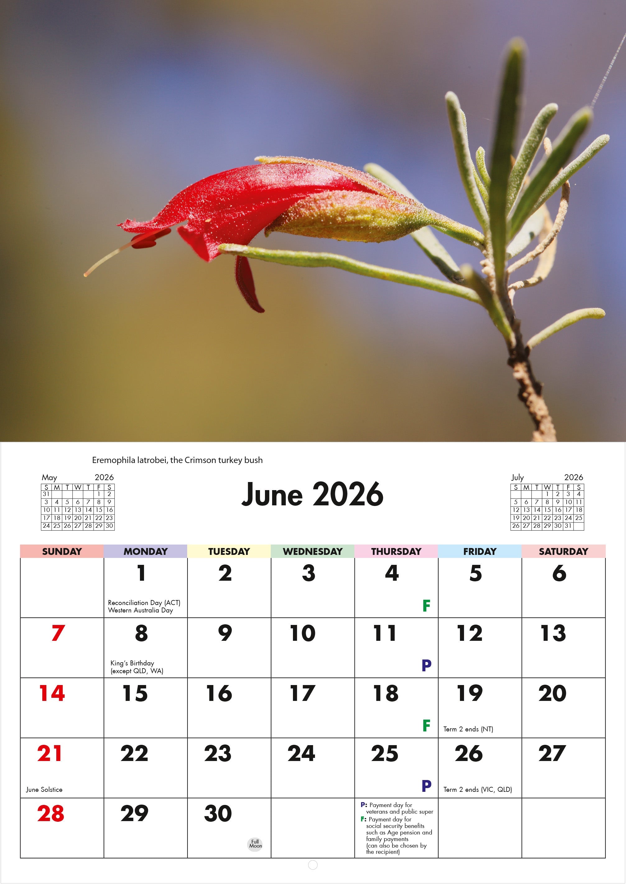 2026 Flora Of Australia - Horizontal Wall Calendar
