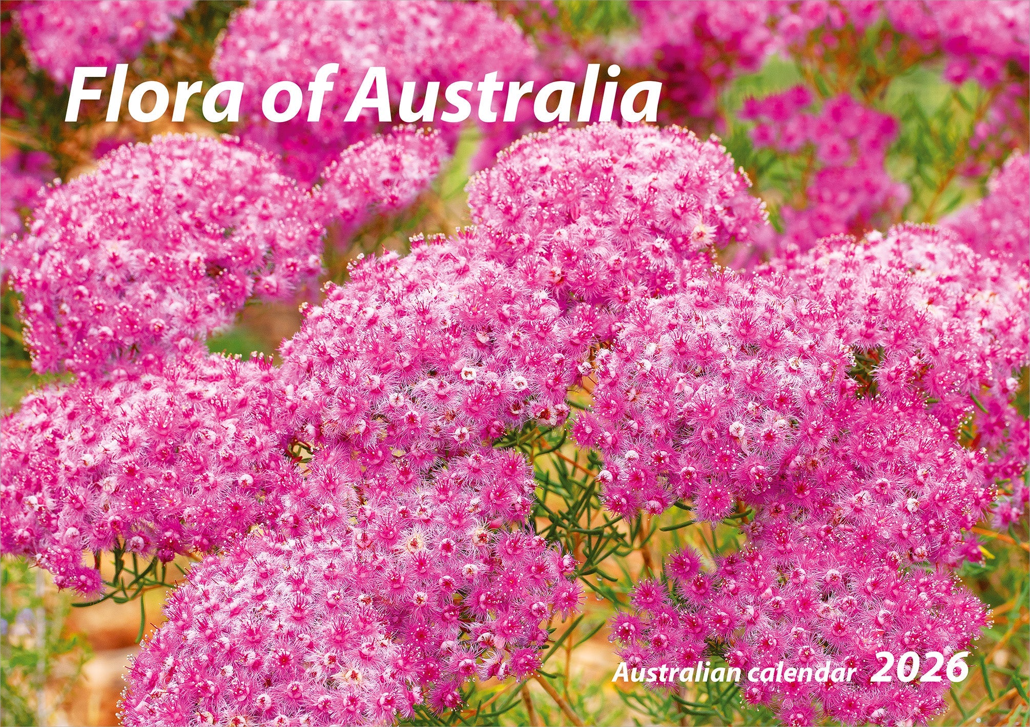 2026 Flora Of Australia - Horizontal Wall Calendar