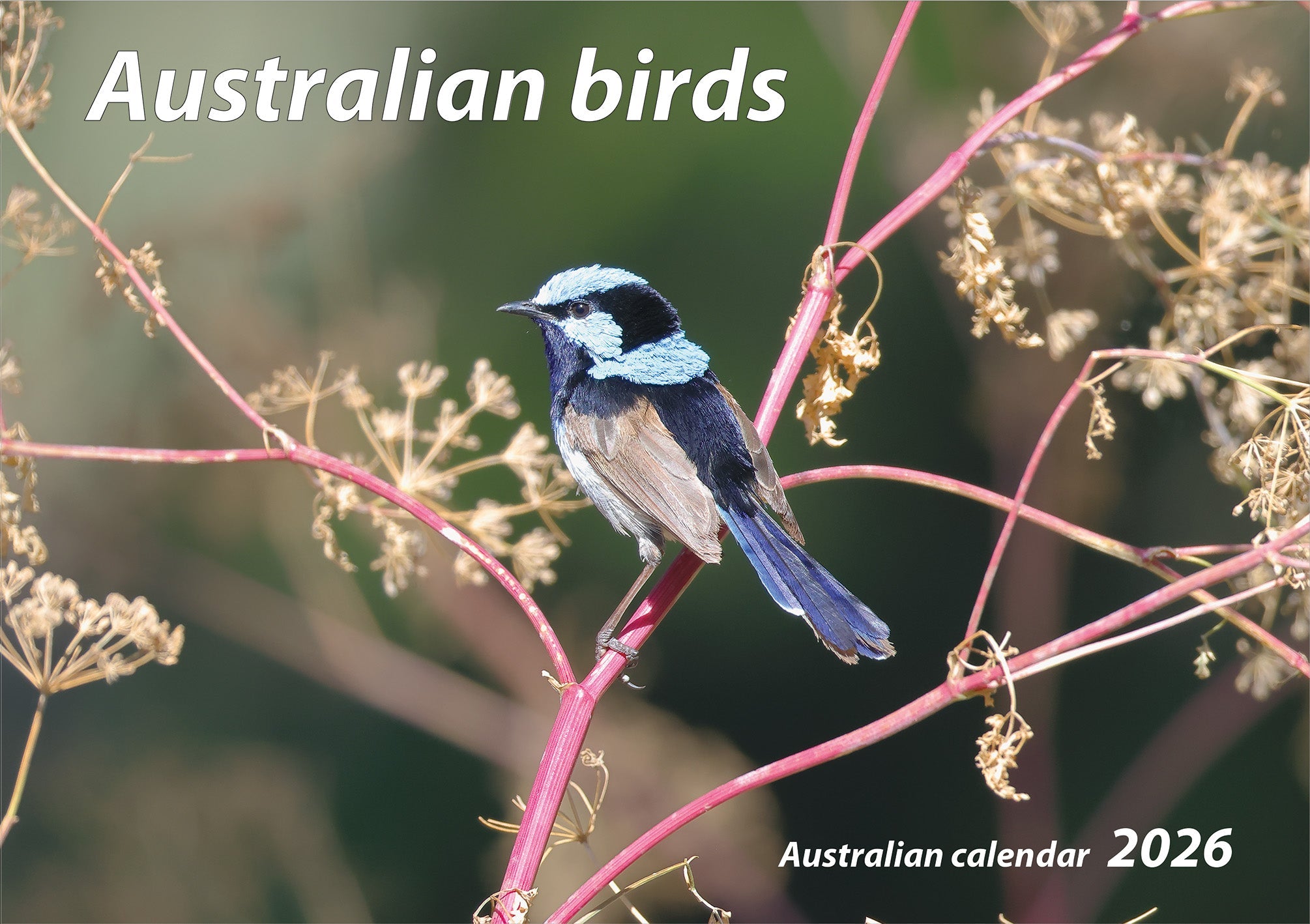 2026 Australian Birds - Horizontal Wall Calendar