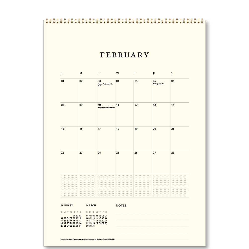 2026 Australian Birds - John Gould - Deluxe Wall Calendar