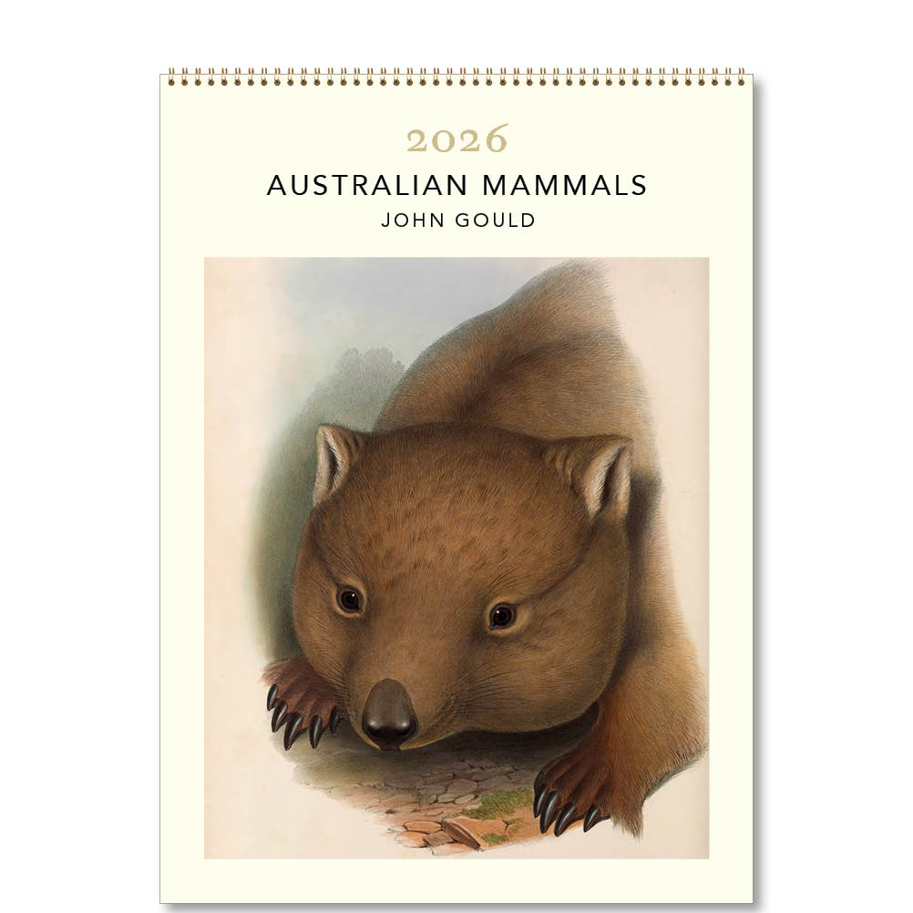 2026 Australian Mammals - John Gould - Deluxe Wall Calendar
