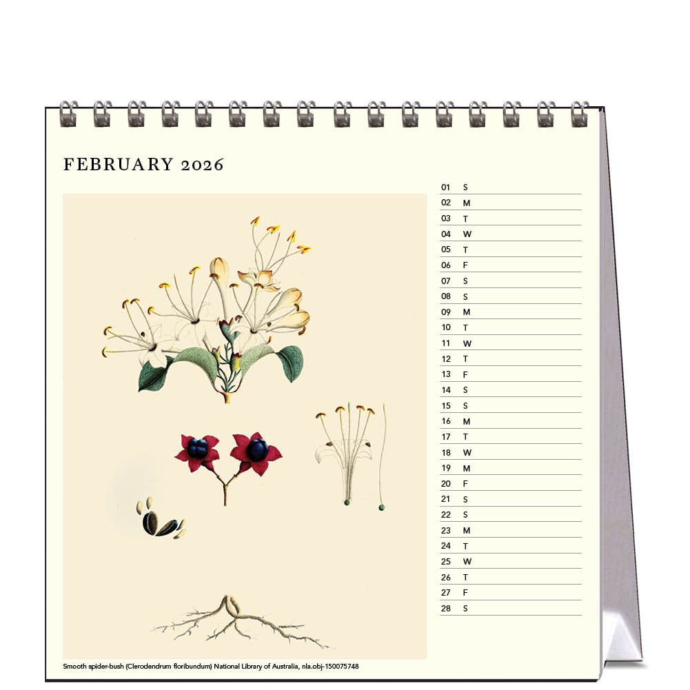 2026 First Fleet Art - Desk Easel Calendar