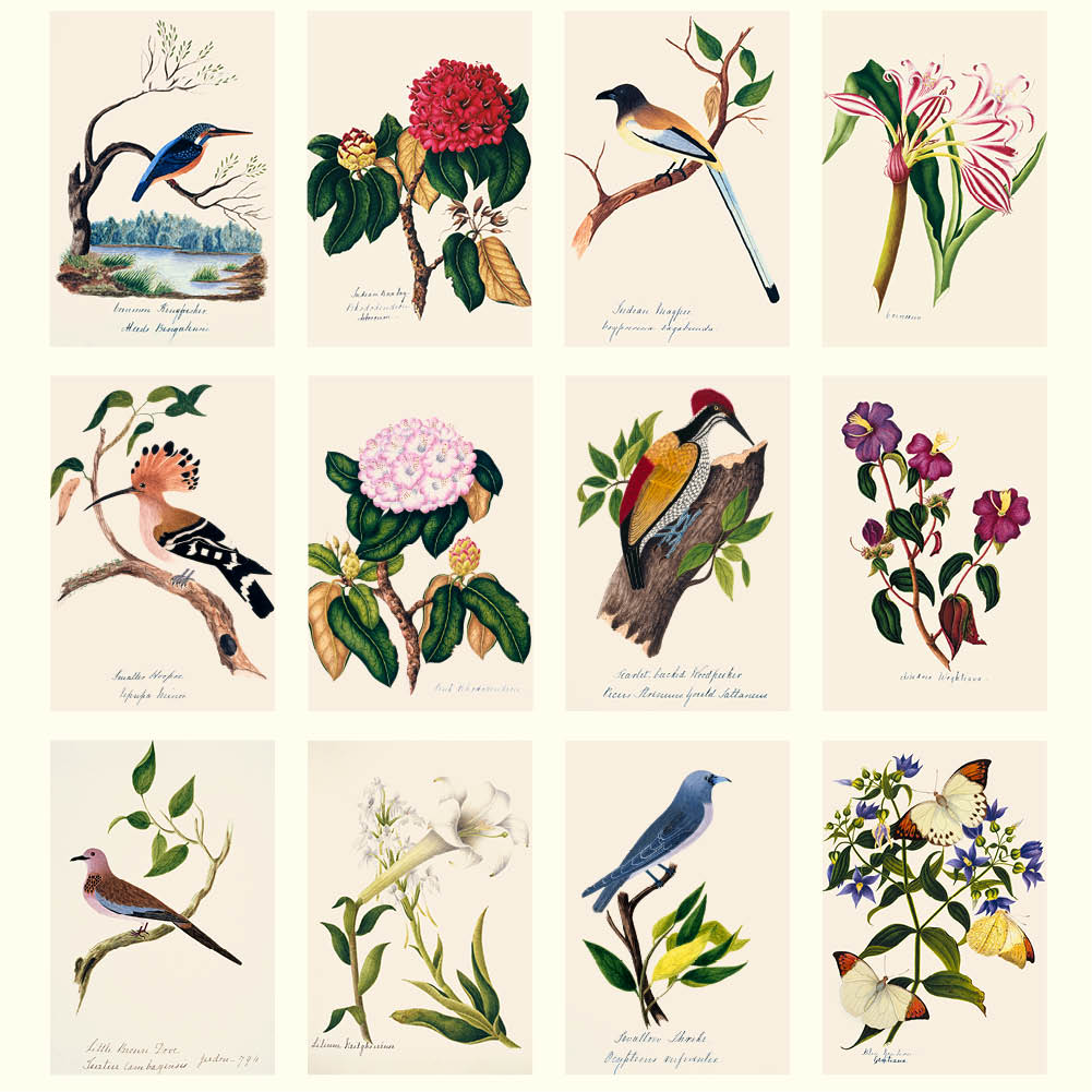 2026 Margaret Cockburn - Flowers and Birds - Deluxe Wall Calendar