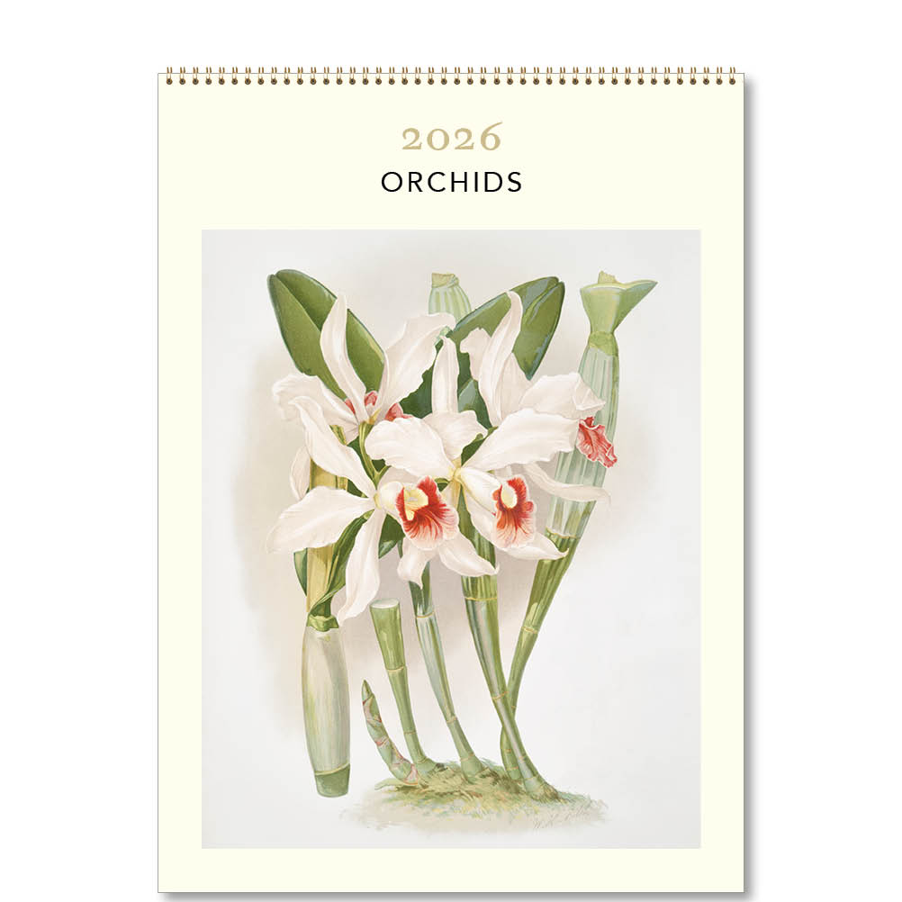 2026 Orchids - Deluxe Wall Calendar