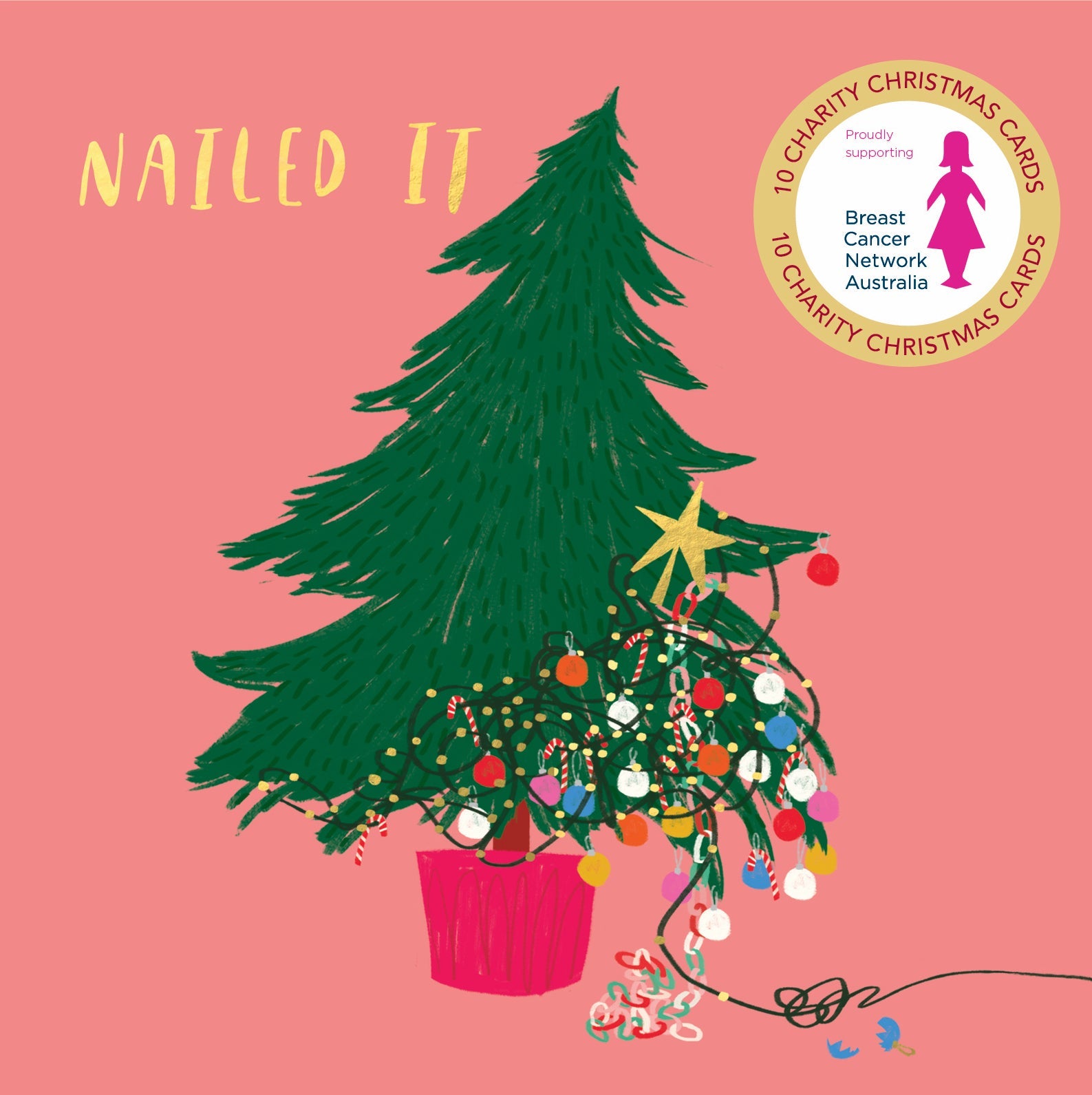 BCNA - Nailed It - 10 Charity Christmas Cards Pack