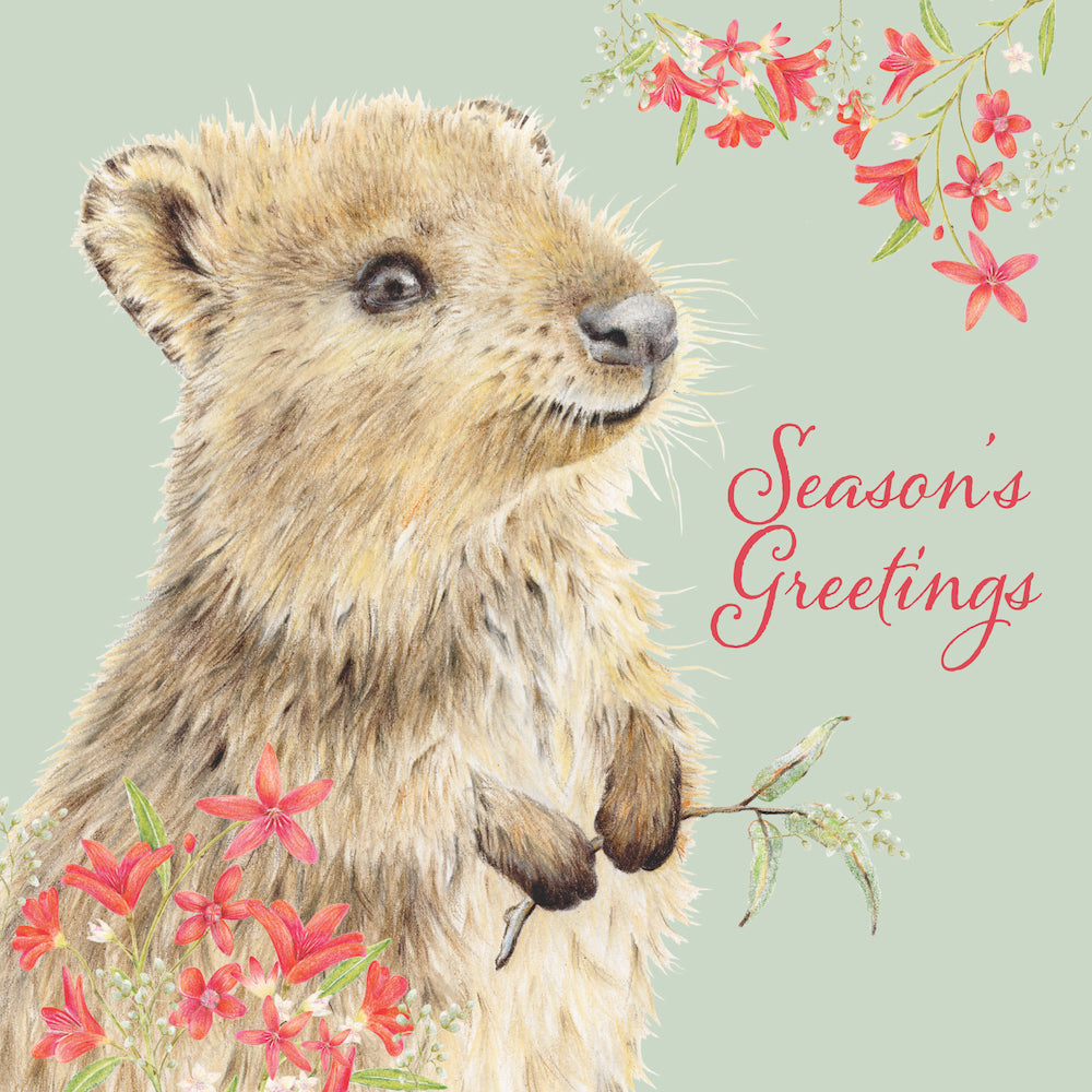 CMRI - Quokka Greetings - 10 Charity Christmas Cards Pack