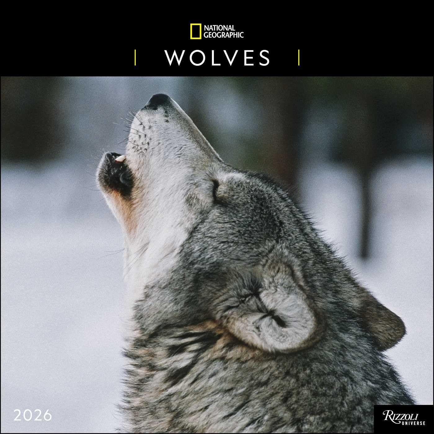 2026 Wolves: National Geographic - Square Wall Calendar