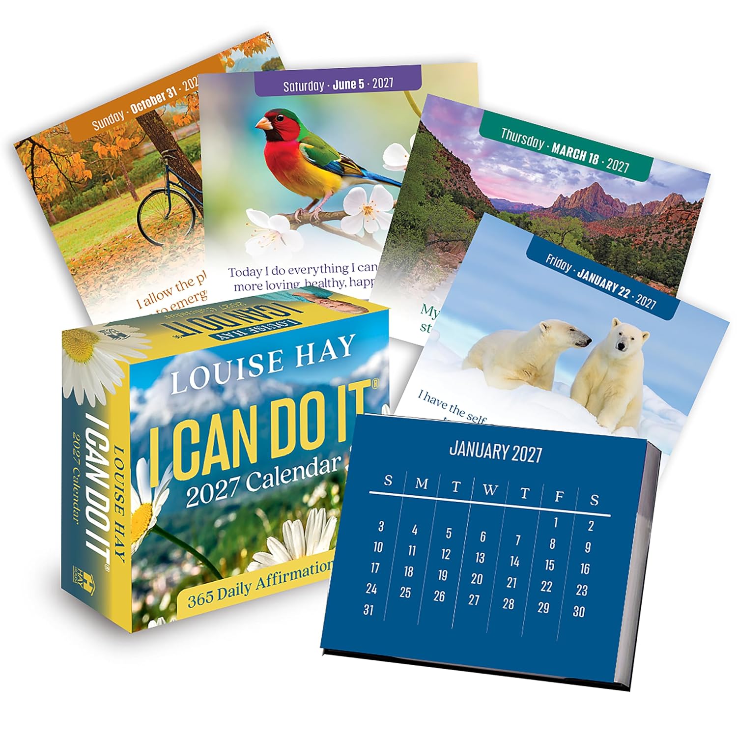 2027 I Can Do It Calendar: 365 Daily Affirmations - Boxed Page-A-Day Calendar
