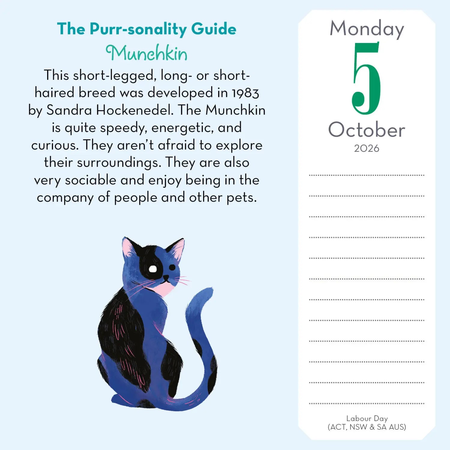 2026 Cat Trivia - Daily Boxed Page-A-Day Calendar