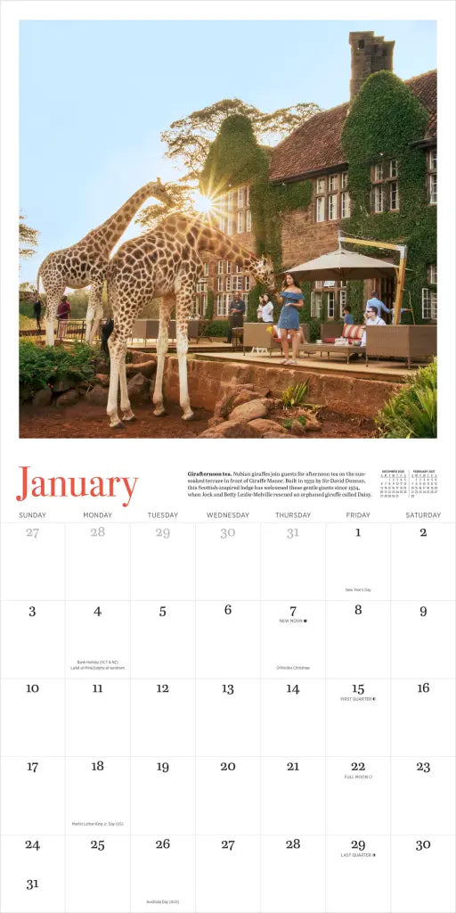 2027 Giraffe Manor - Square Wall Calendar