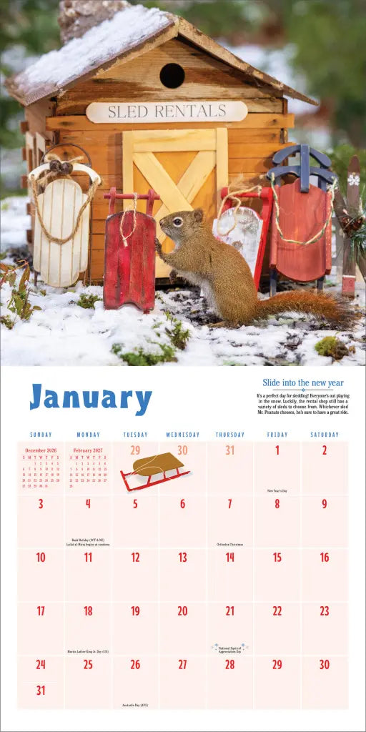 2027 Secret Life of Squirrels - Square Wall Calendar