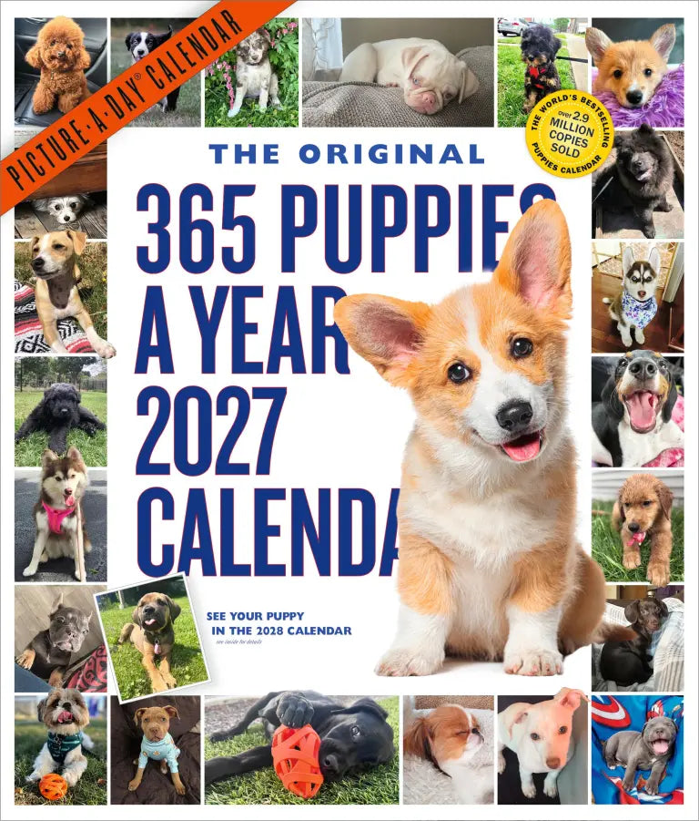 2027 365 Puppies-A-Year Picture-A-Day - Deluxe Wall Calendar