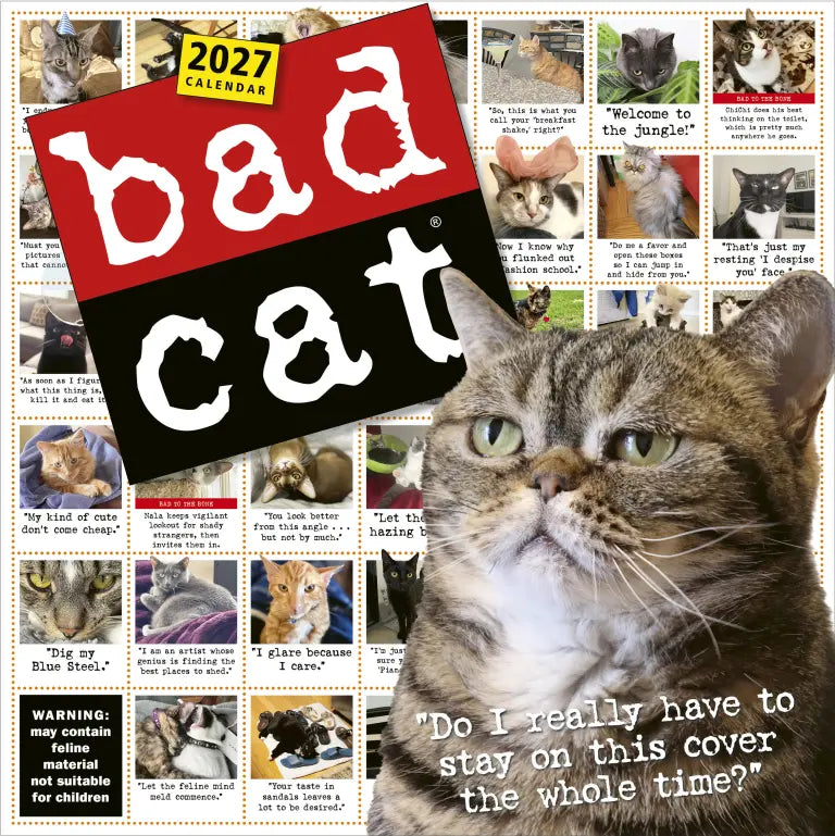 2027 Bad Cat - Square Wall Calendar