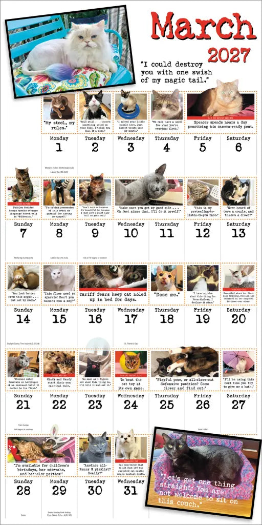 2027 Bad Cat - Square Wall Calendar