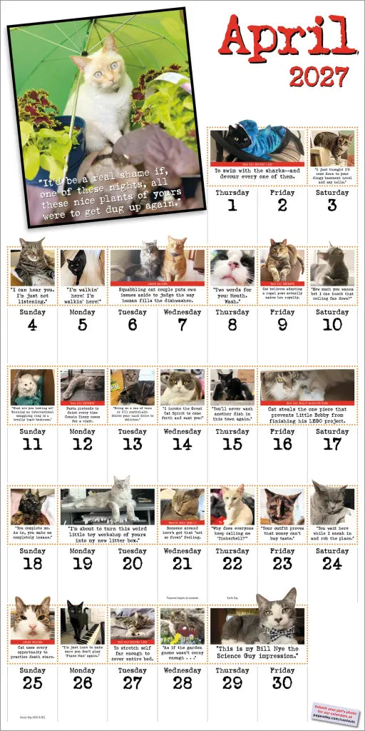 2027 Bad Cat - Square Wall Calendar