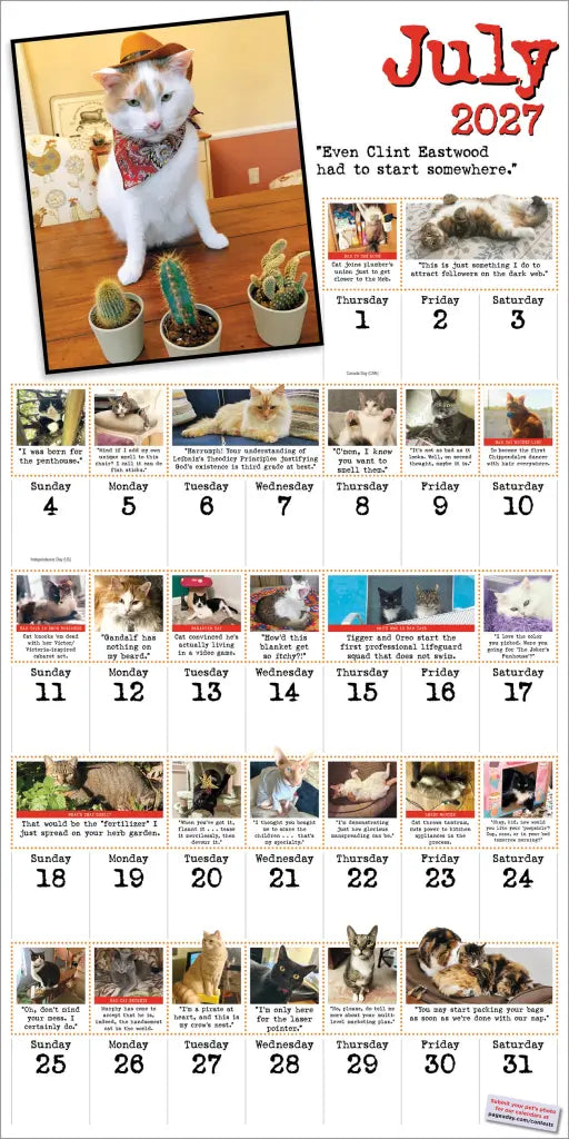 2027 Bad Cat - Square Wall Calendar