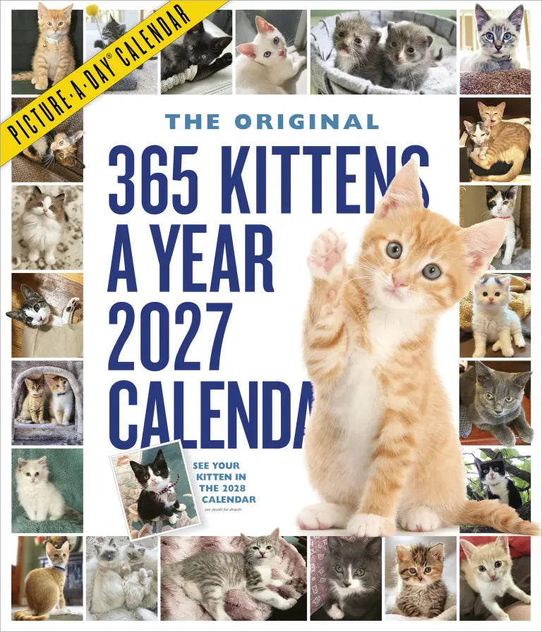 2027 365 Kittens-A-Year Picture-A-Day - Deluxe Wall Calendar