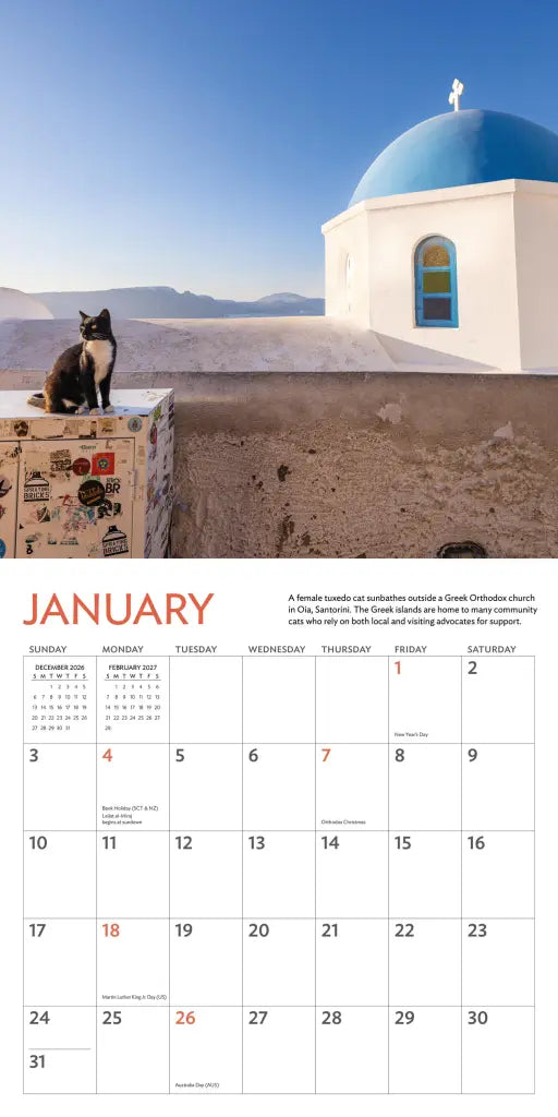 2027 Cats of the World - Square Wall Calendar