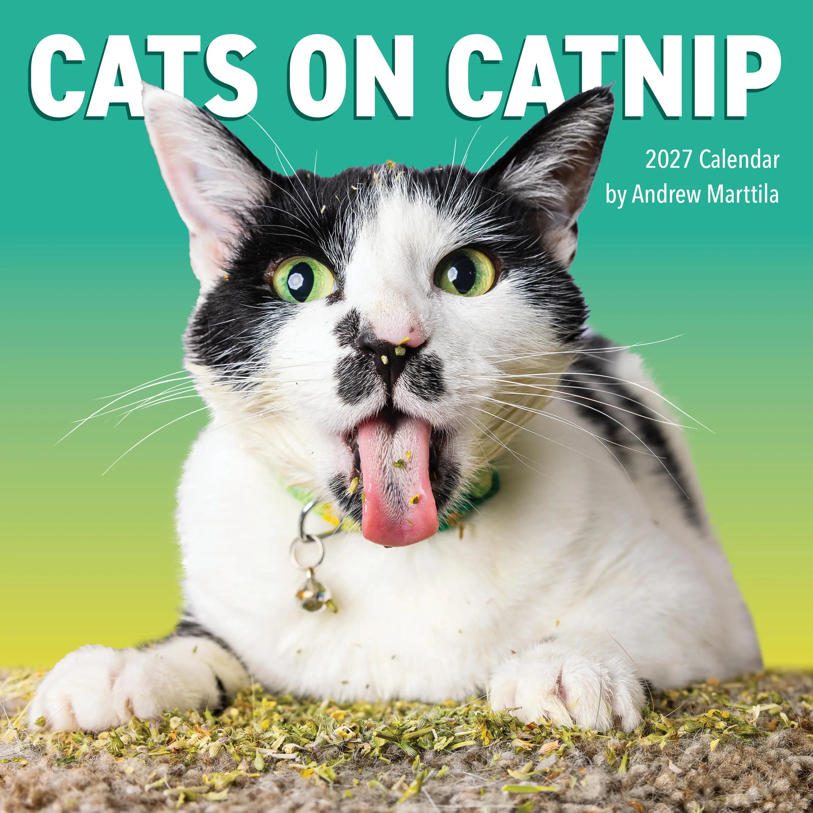 2027 Cats on Catnip - Square Wall Calendar
