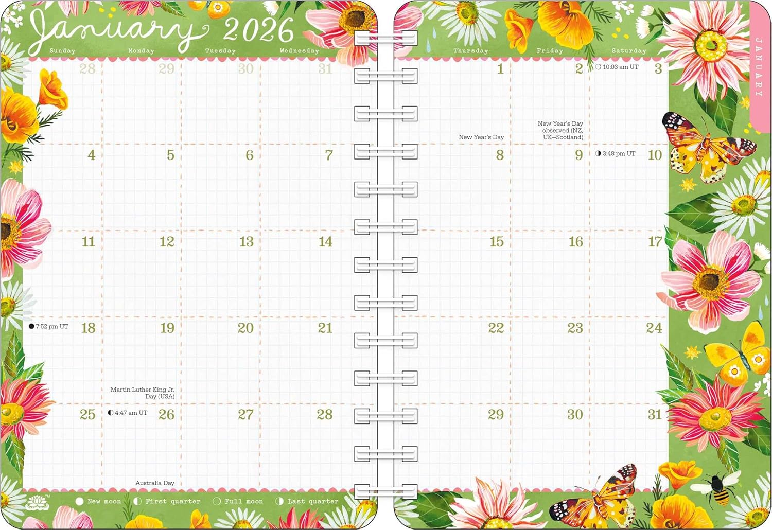 2026 Katie Daisy: Bloom & Grow - Monthly & Weekly Diary/Planner