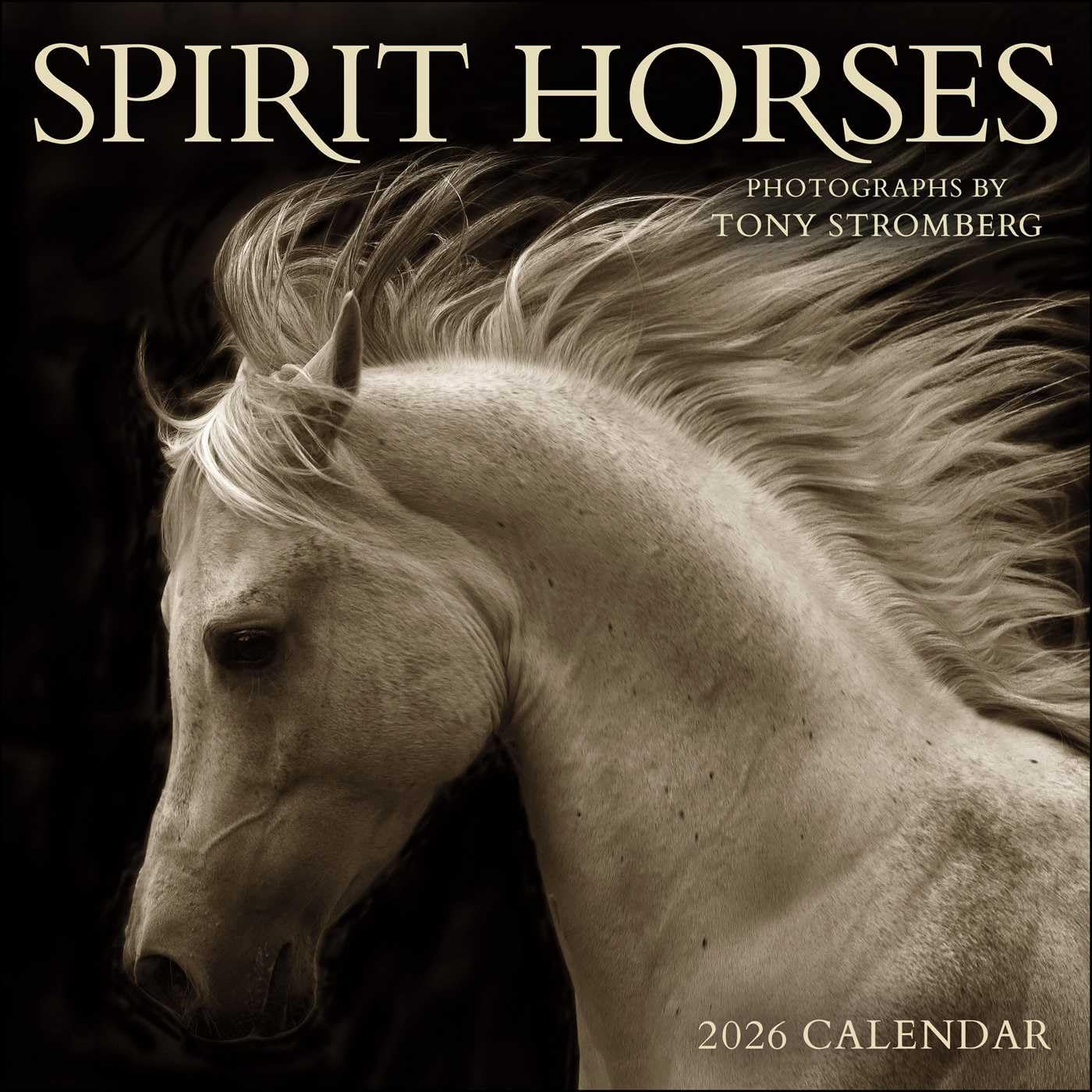 2026 Spirit Horses - Square Wall Calendar