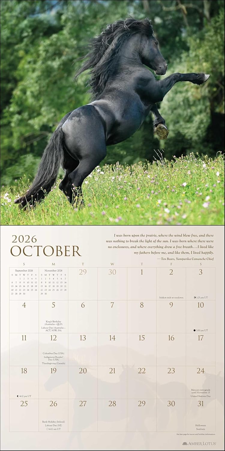 2026 Spirit Horses - Square Wall Calendar