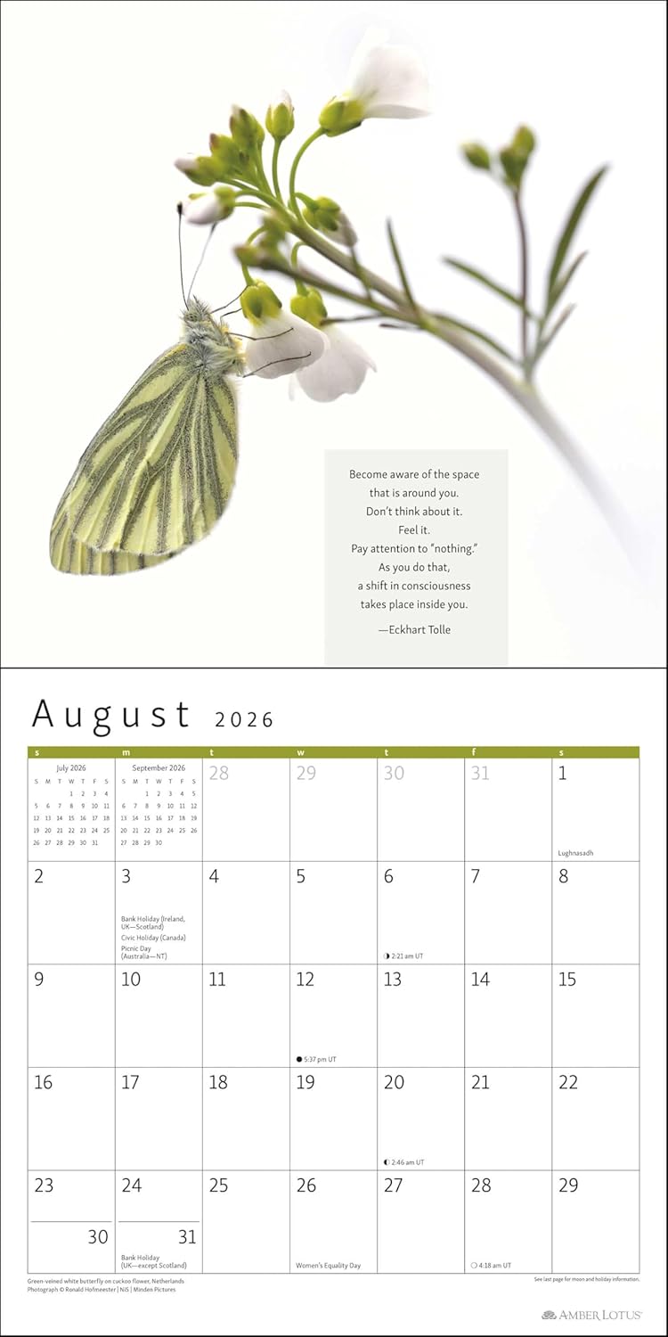 2026 Power of Now: Eckhart Tolle - Square Wall Calendar