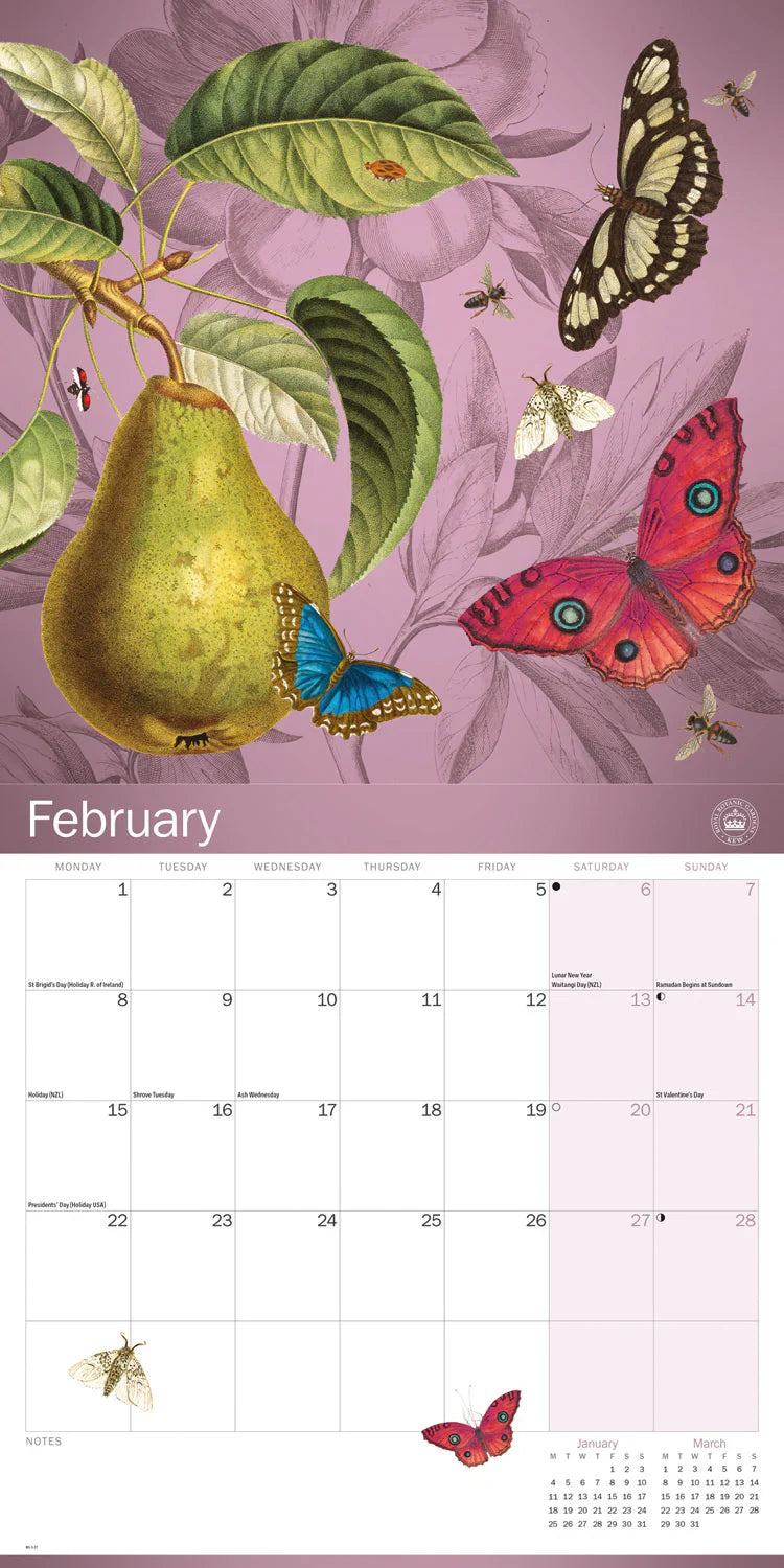 2027 Royal Botanic Gardens Kew Floral Illustrated - Square Wall Calendar