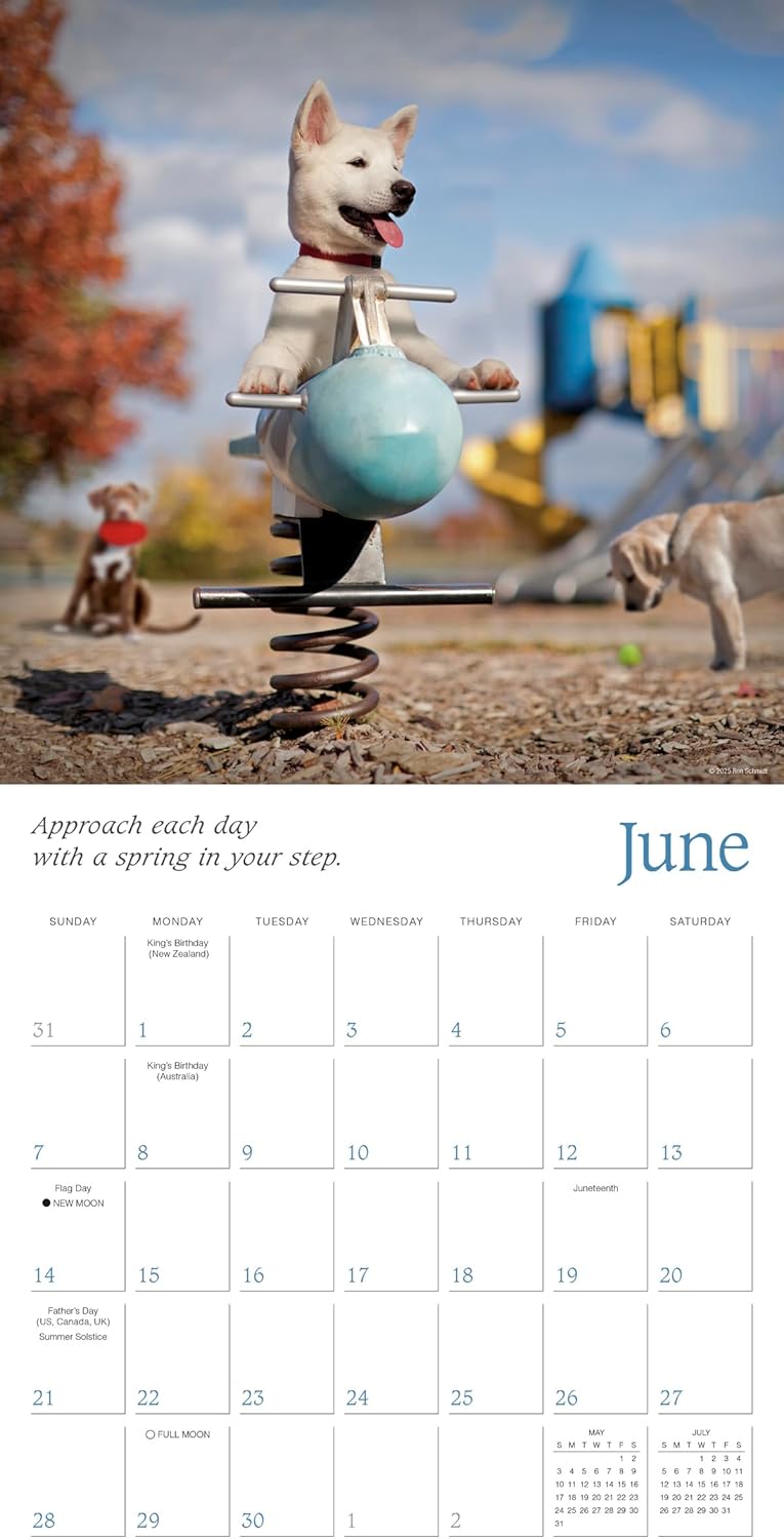 2026 Dogma: A Dog's Guide to Life - Square Wall Calendar