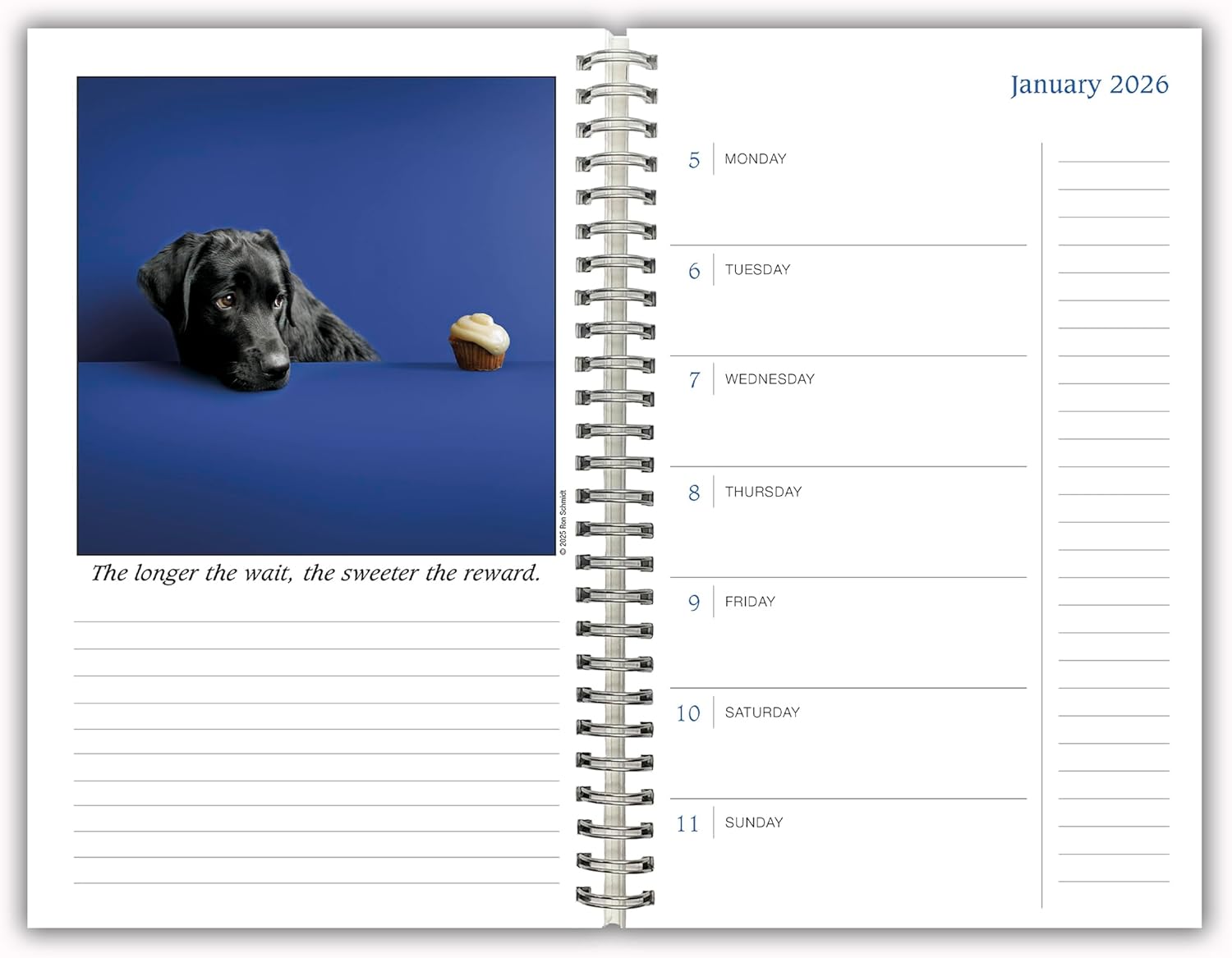 2026 Dogma: A Dog's Guide to Life - Monthly & Weekly Diary/Planner