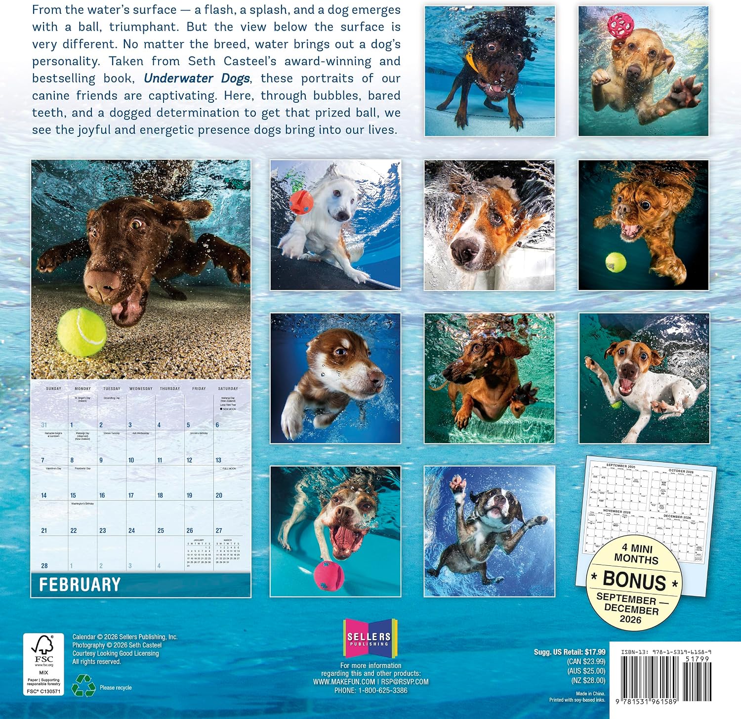 2027 Underwater Dogs: Seth Casteel - Square Wall Calendar