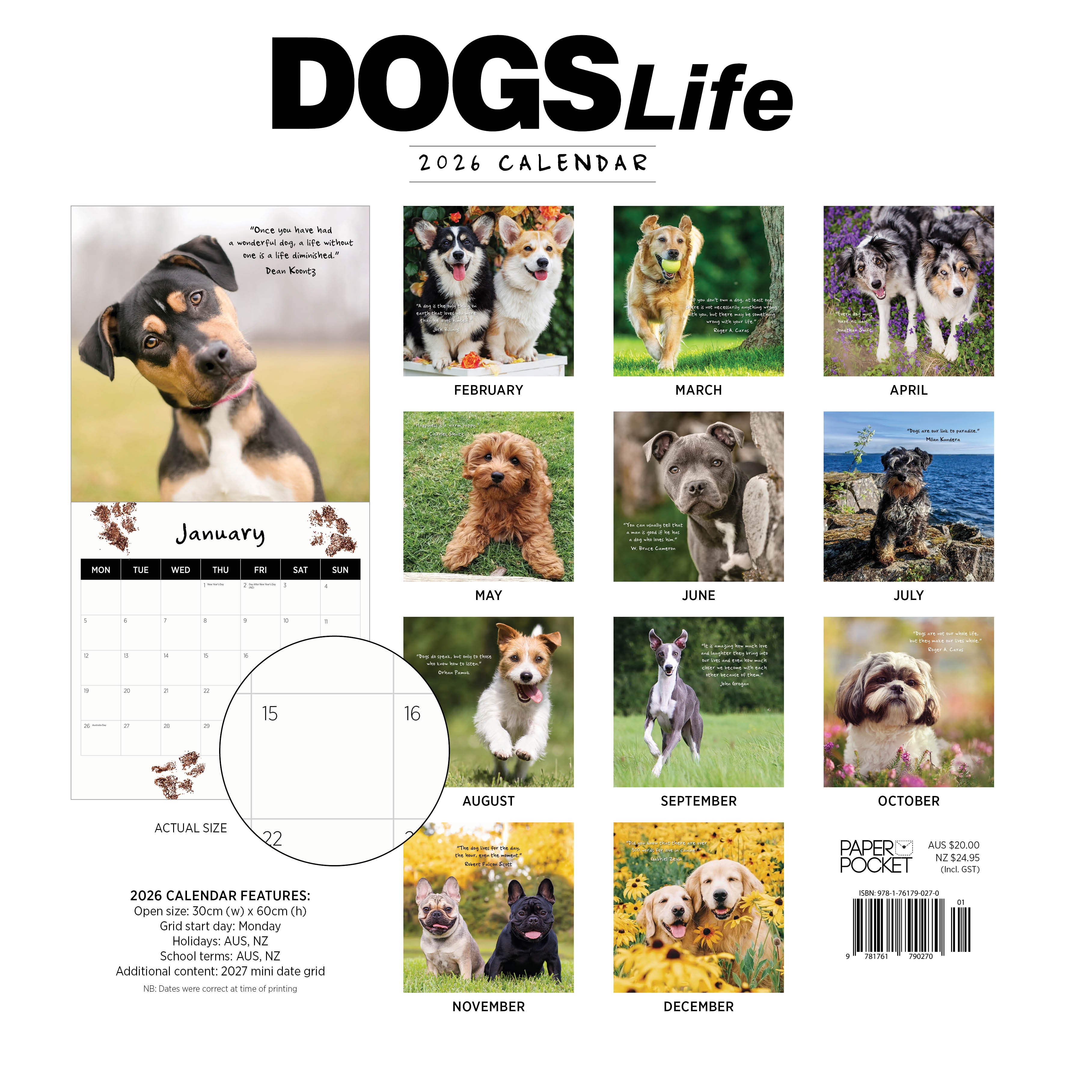 2026 Dogs Life - Square Wall Calendar