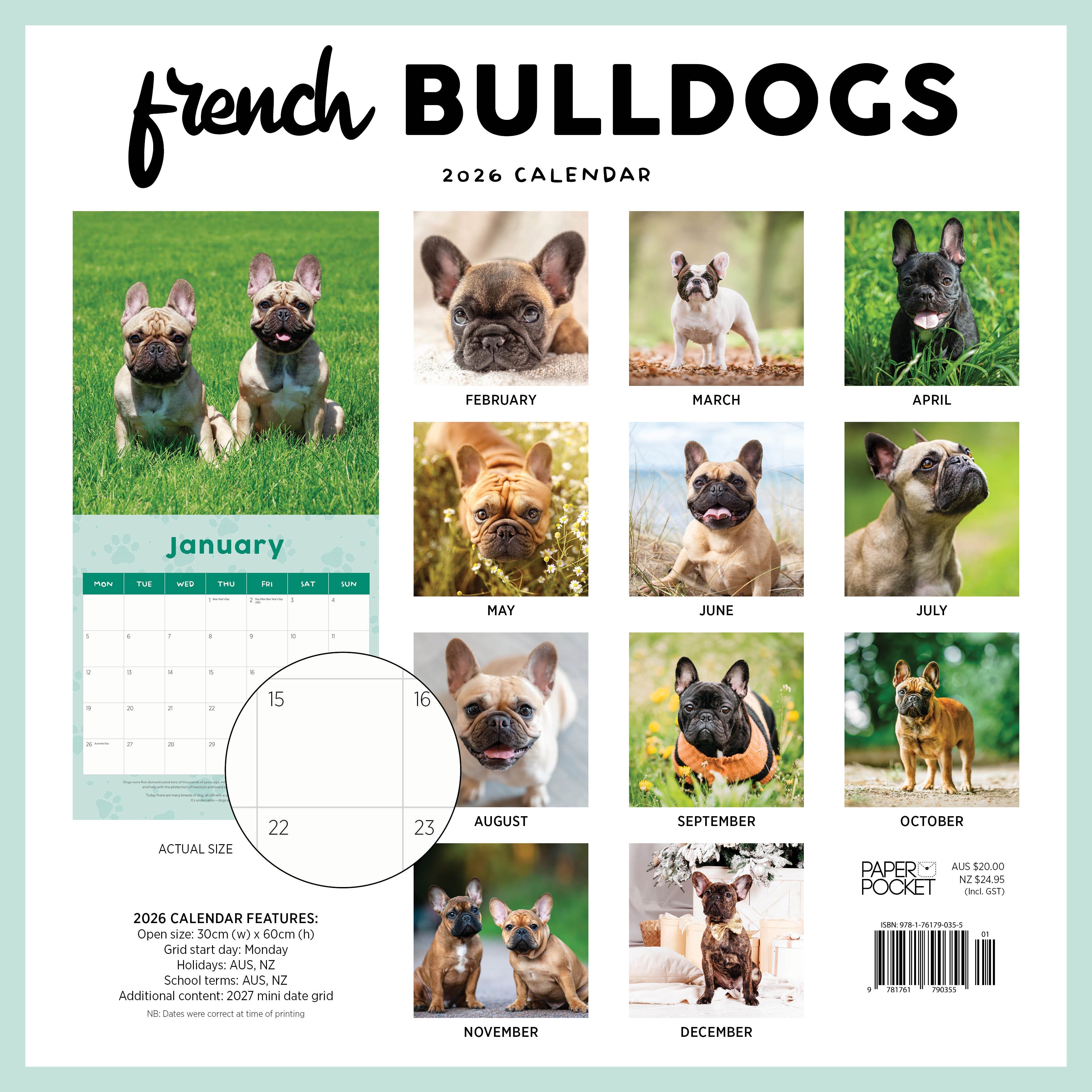 2026 French Bulldogs - Square Wall Calendar
