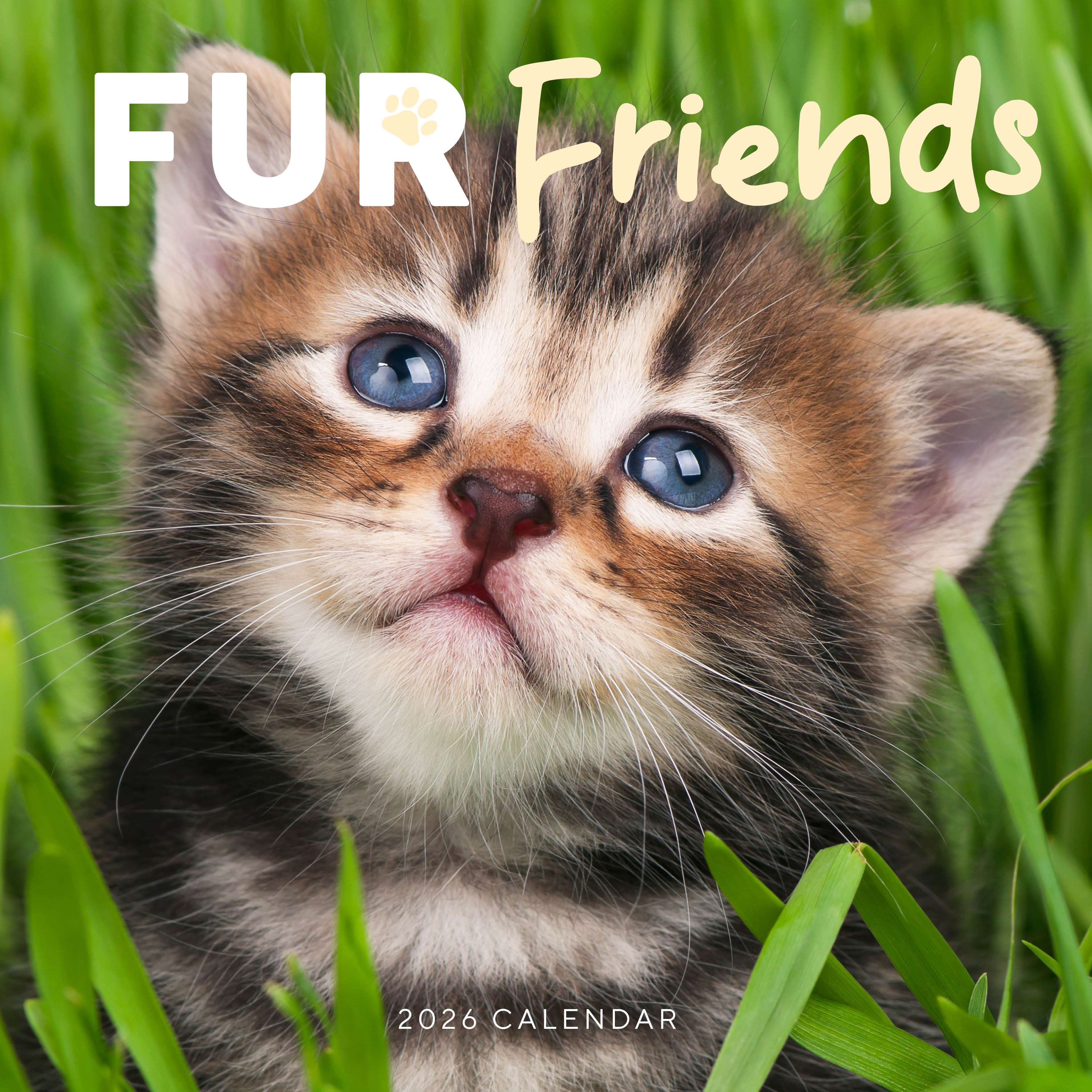 2026 Fur Friends - Square Wall Calendar
