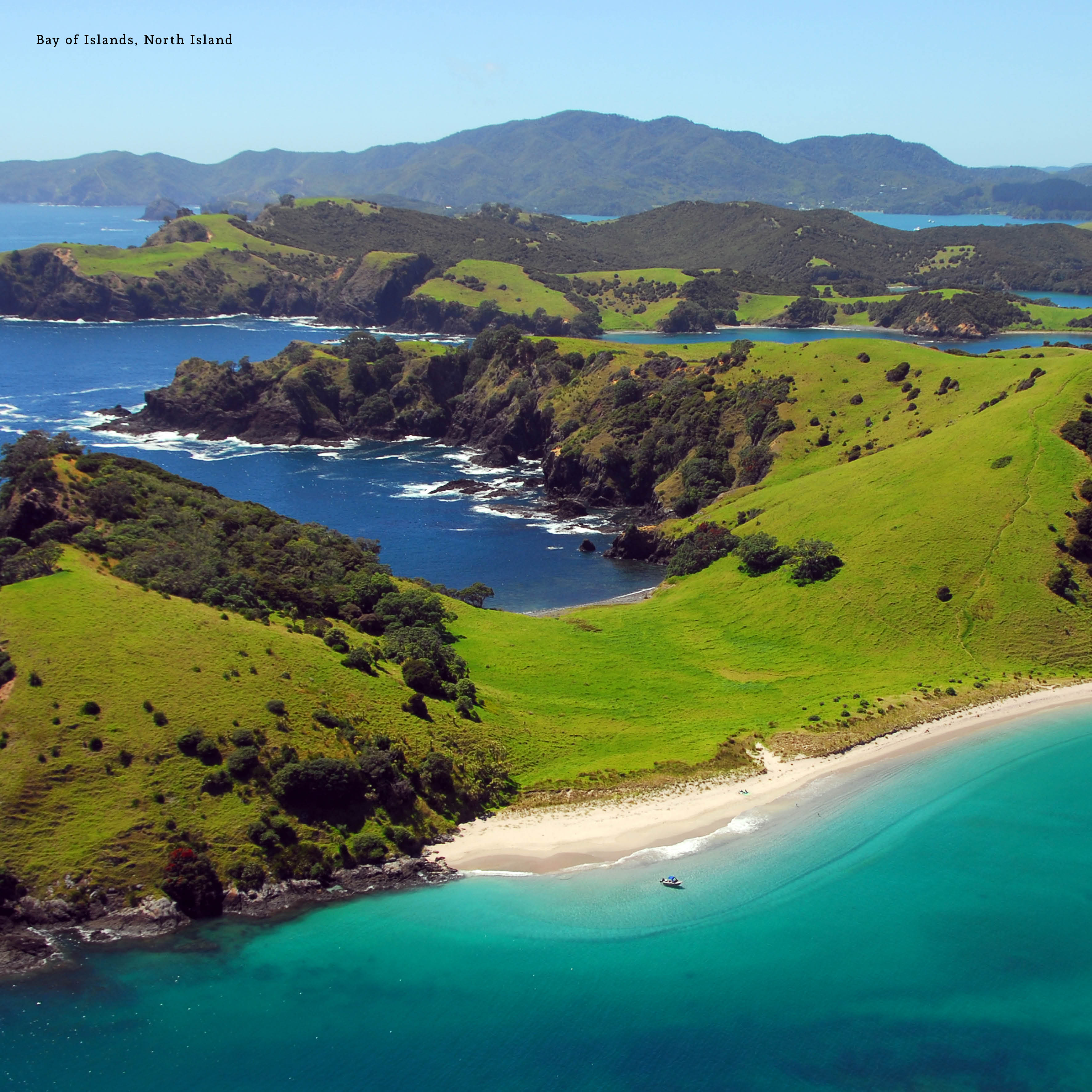 2026 New Zealand - Square Wall Calendar