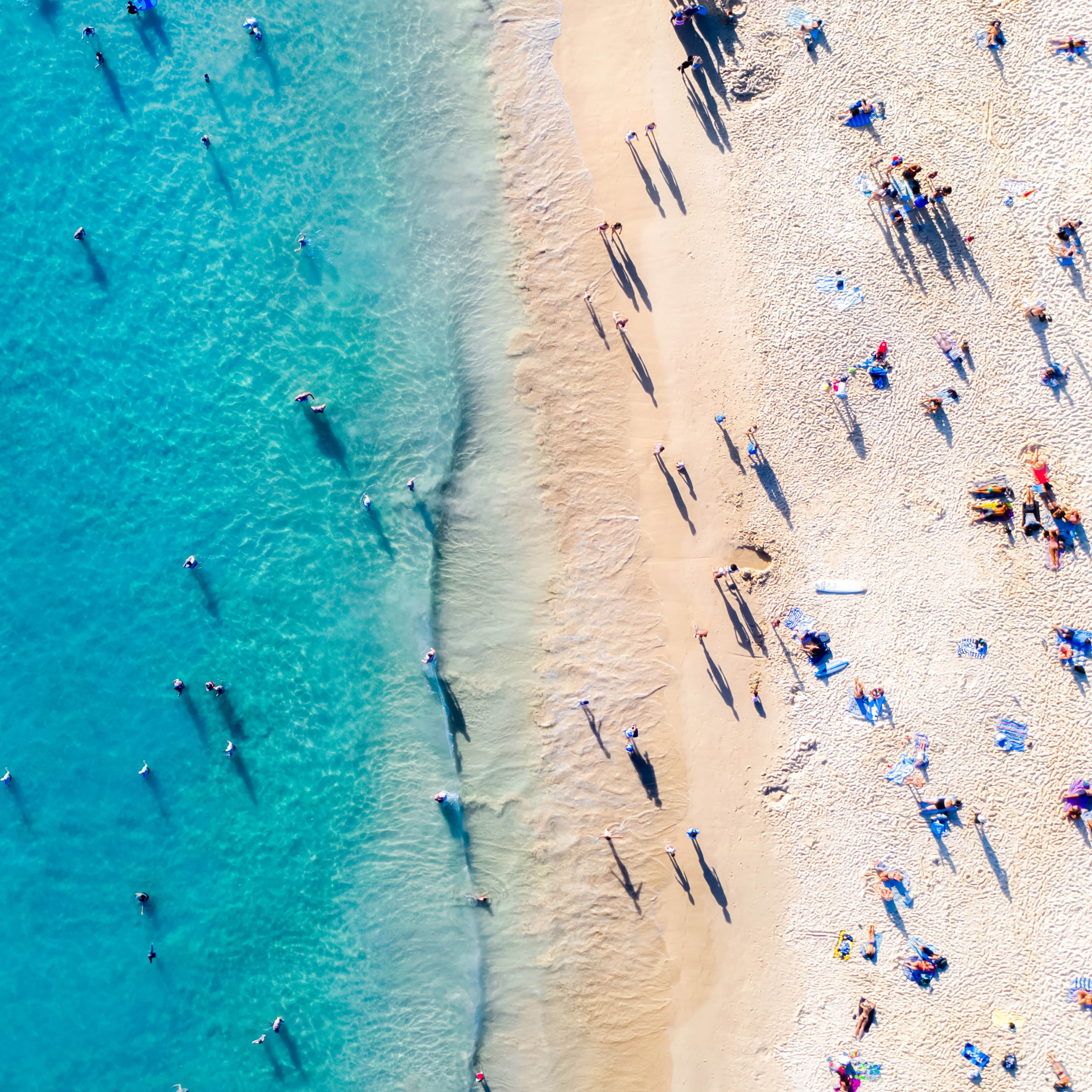 2026 Our Australia - Square Wall Calendar