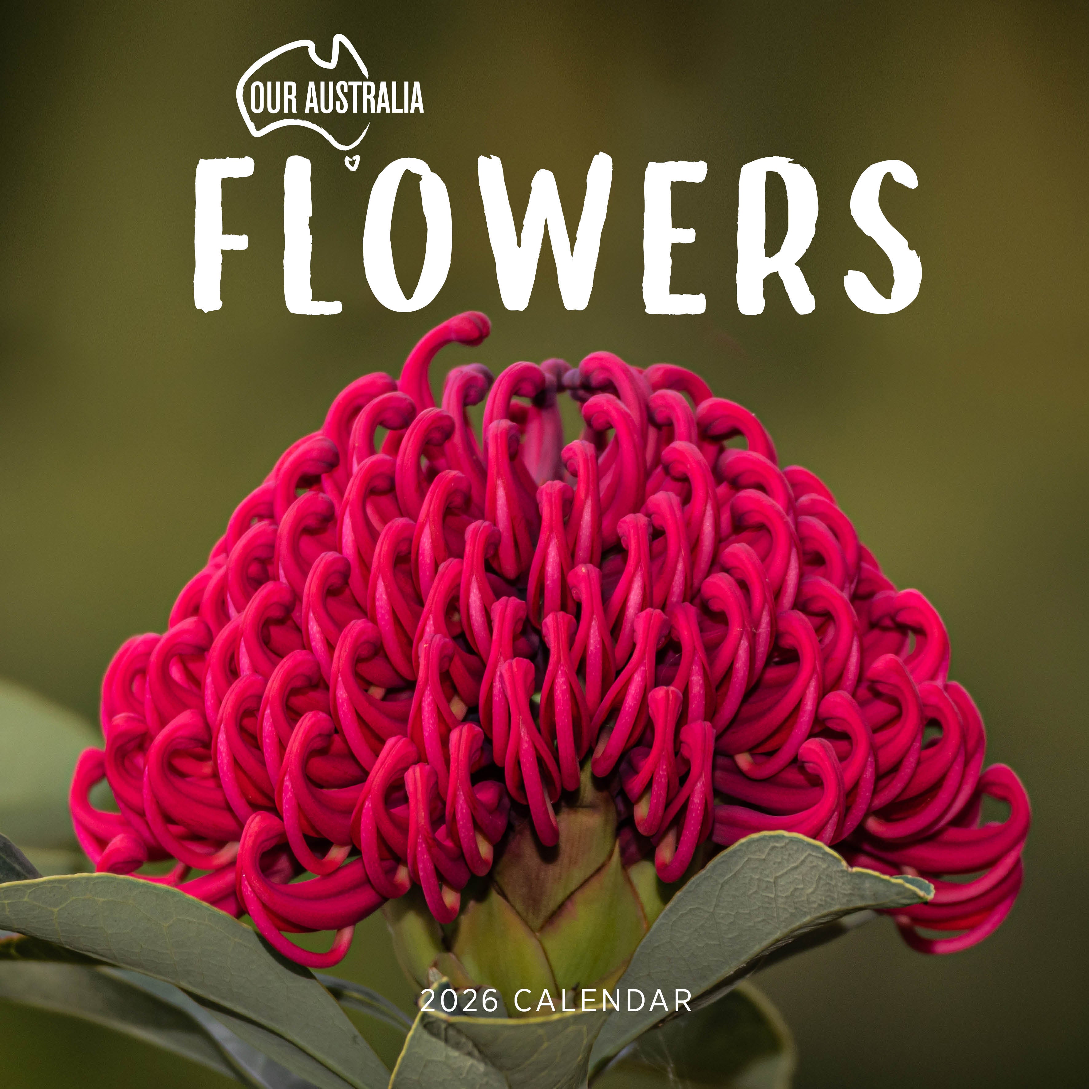 2026 Our Australia Flowers - Square Wall Calendar