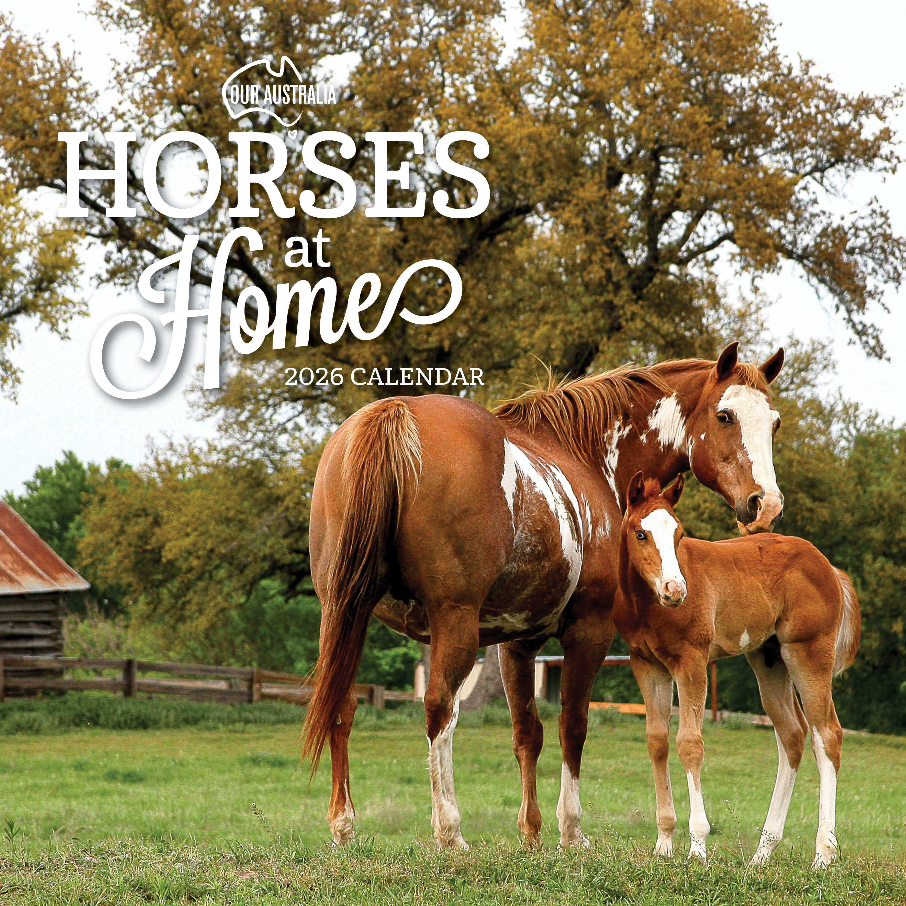 2026 Our Australia Horses at Home - Square Wall Calendar